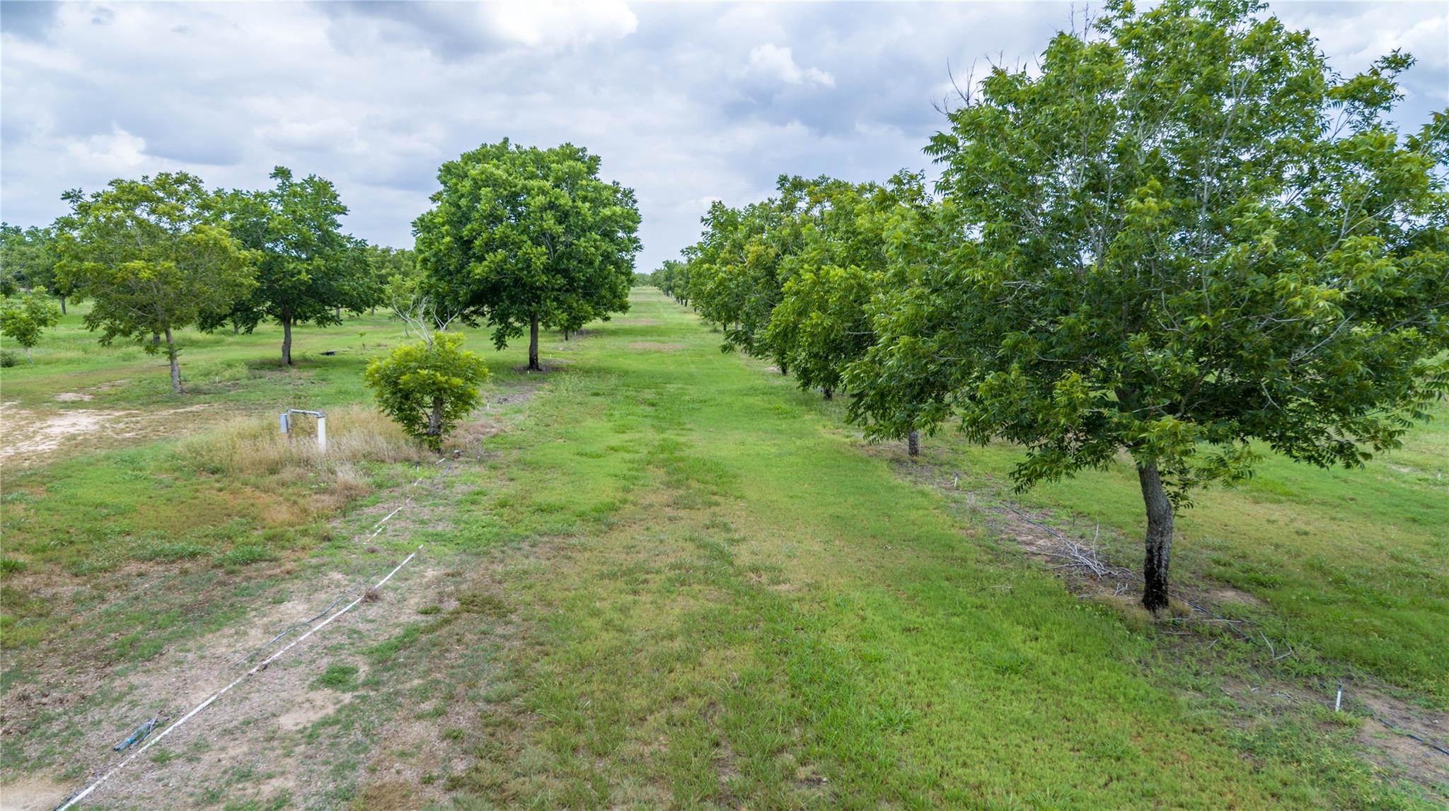 475 W County Road 418, Premont, TX 78375