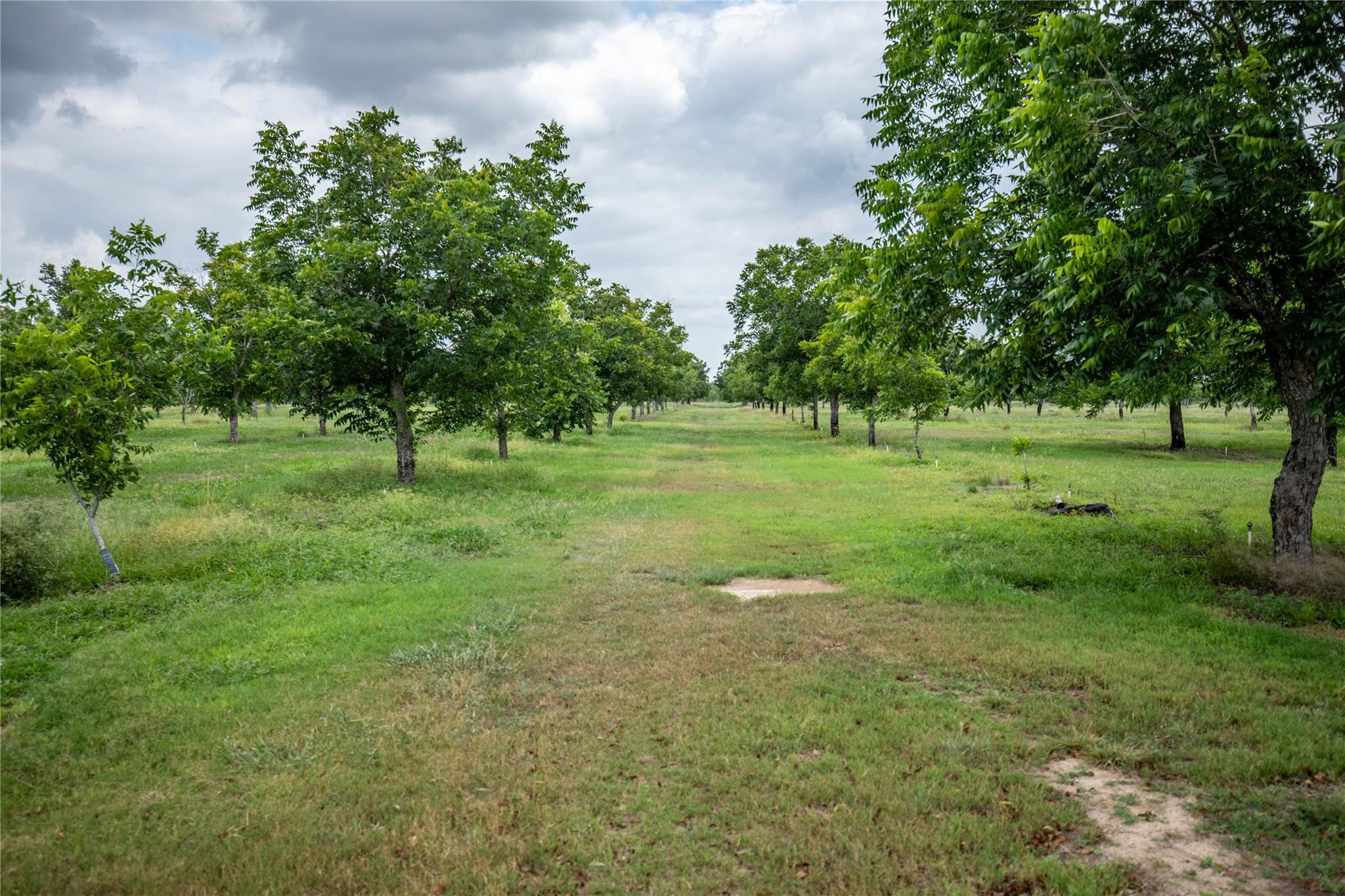 475 W County Road 418, Premont, TX 78375