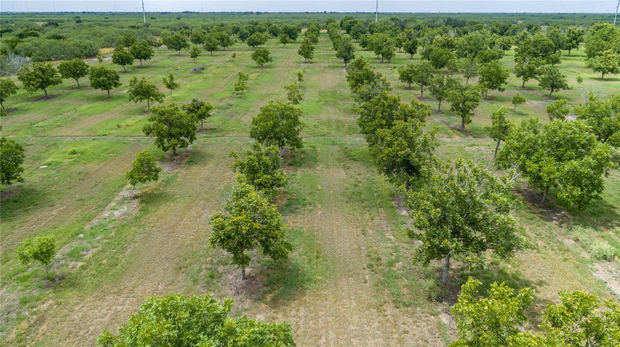475 W County Road 418, Premont, TX 78375