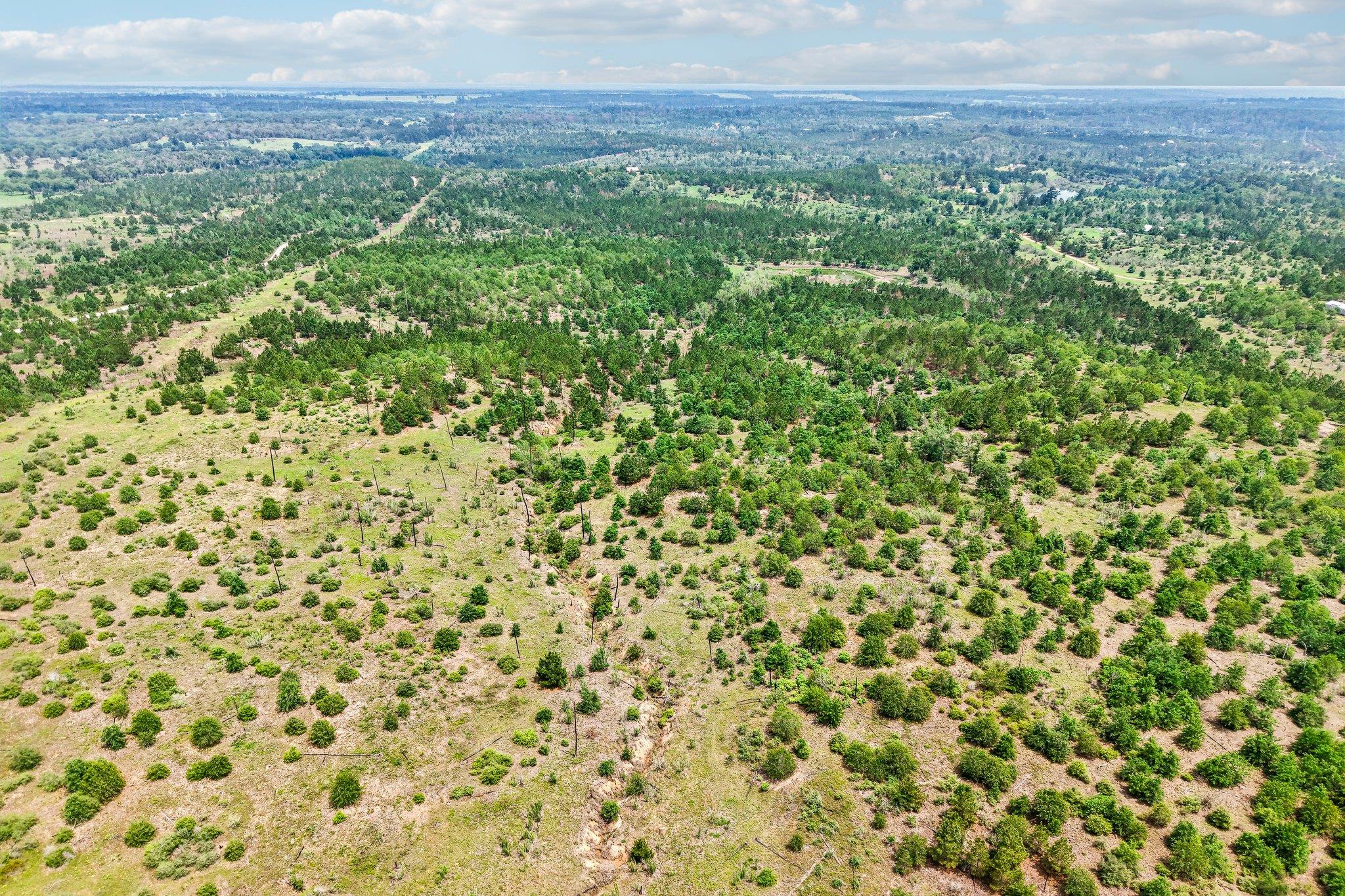 1213 Park Road 1C, Smithville, TX 78957