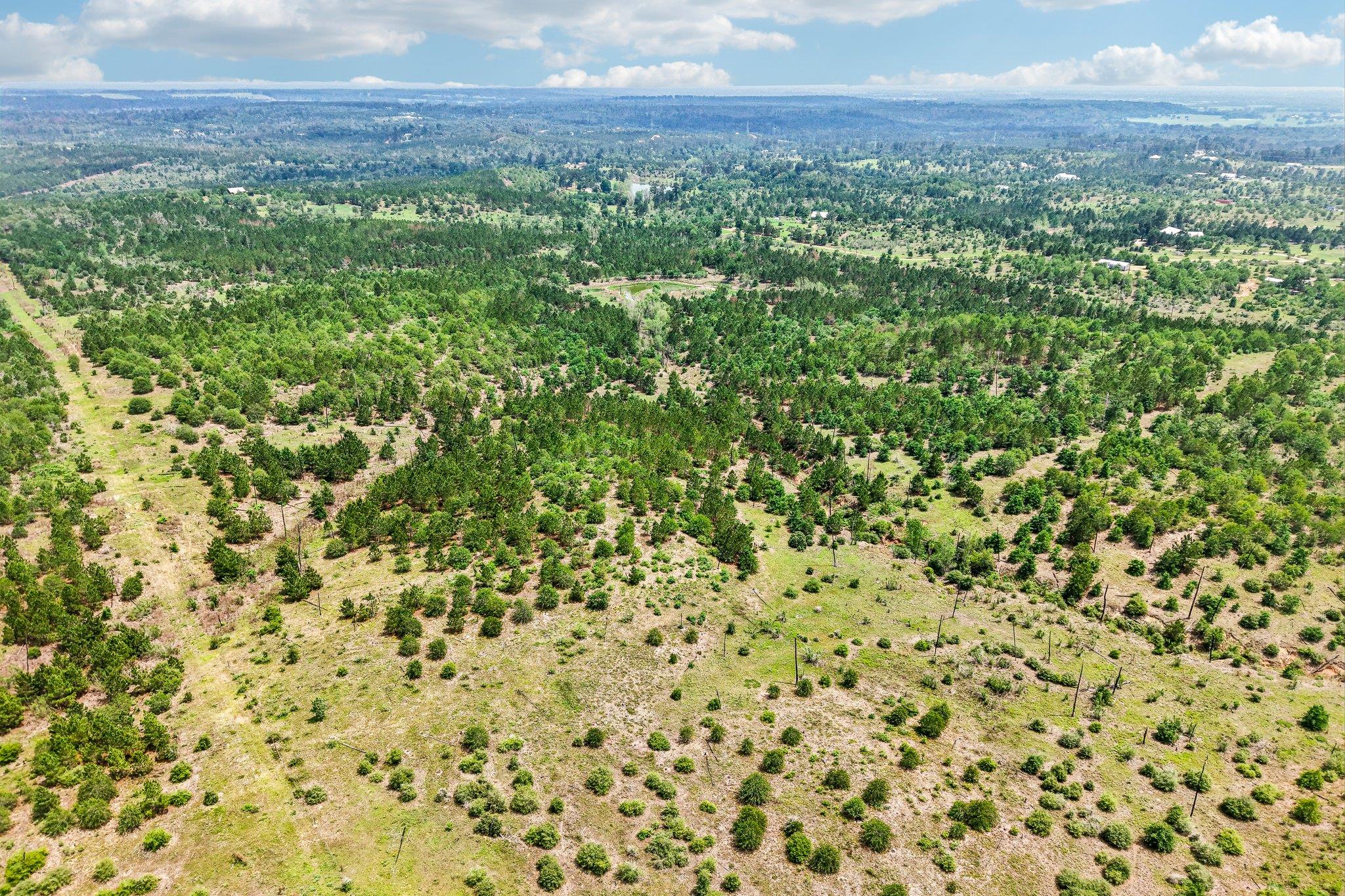 1213 Park Road 1C, Smithville, TX 78957