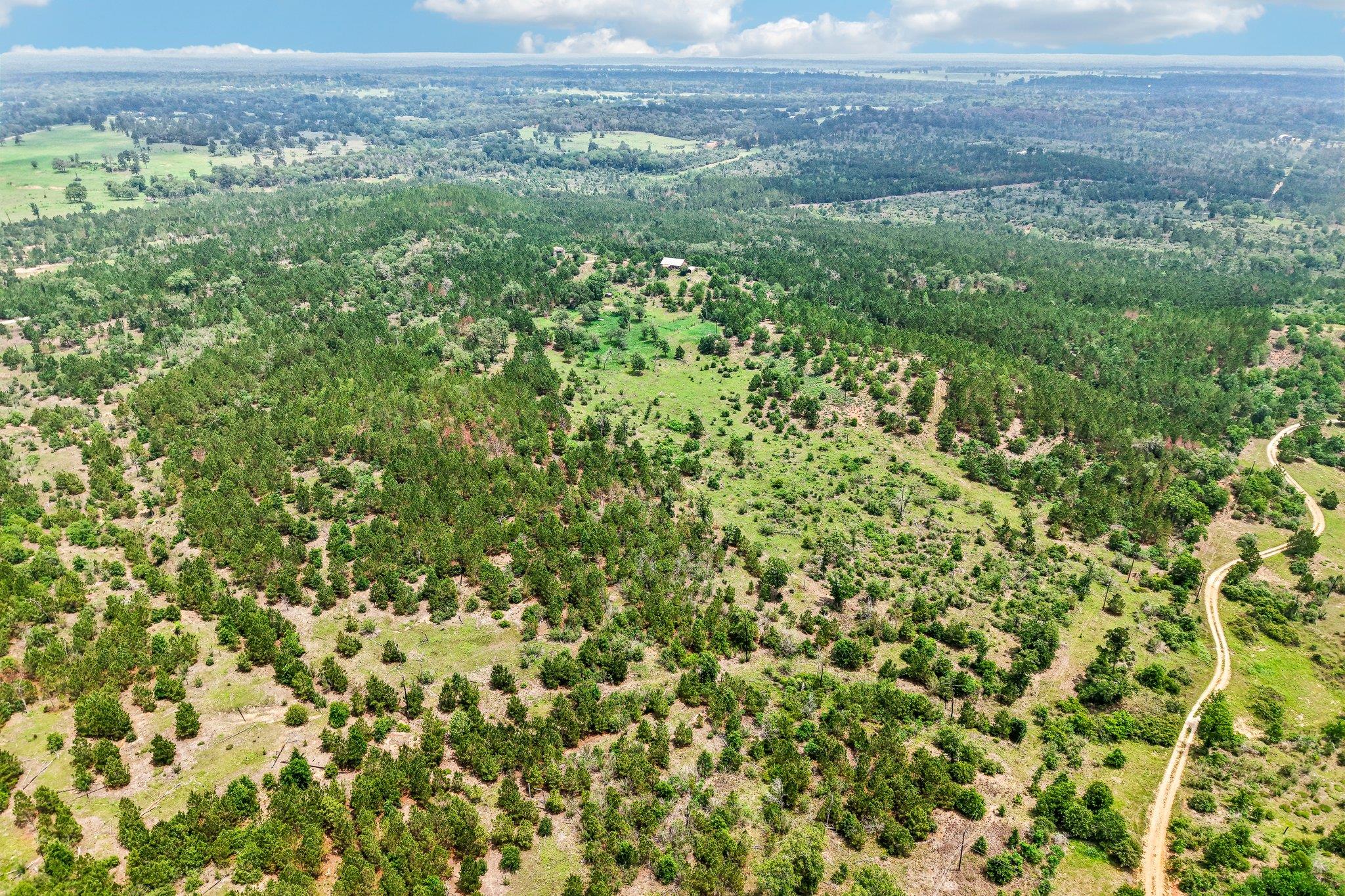 1213 Park Road 1C, Smithville, TX 78957