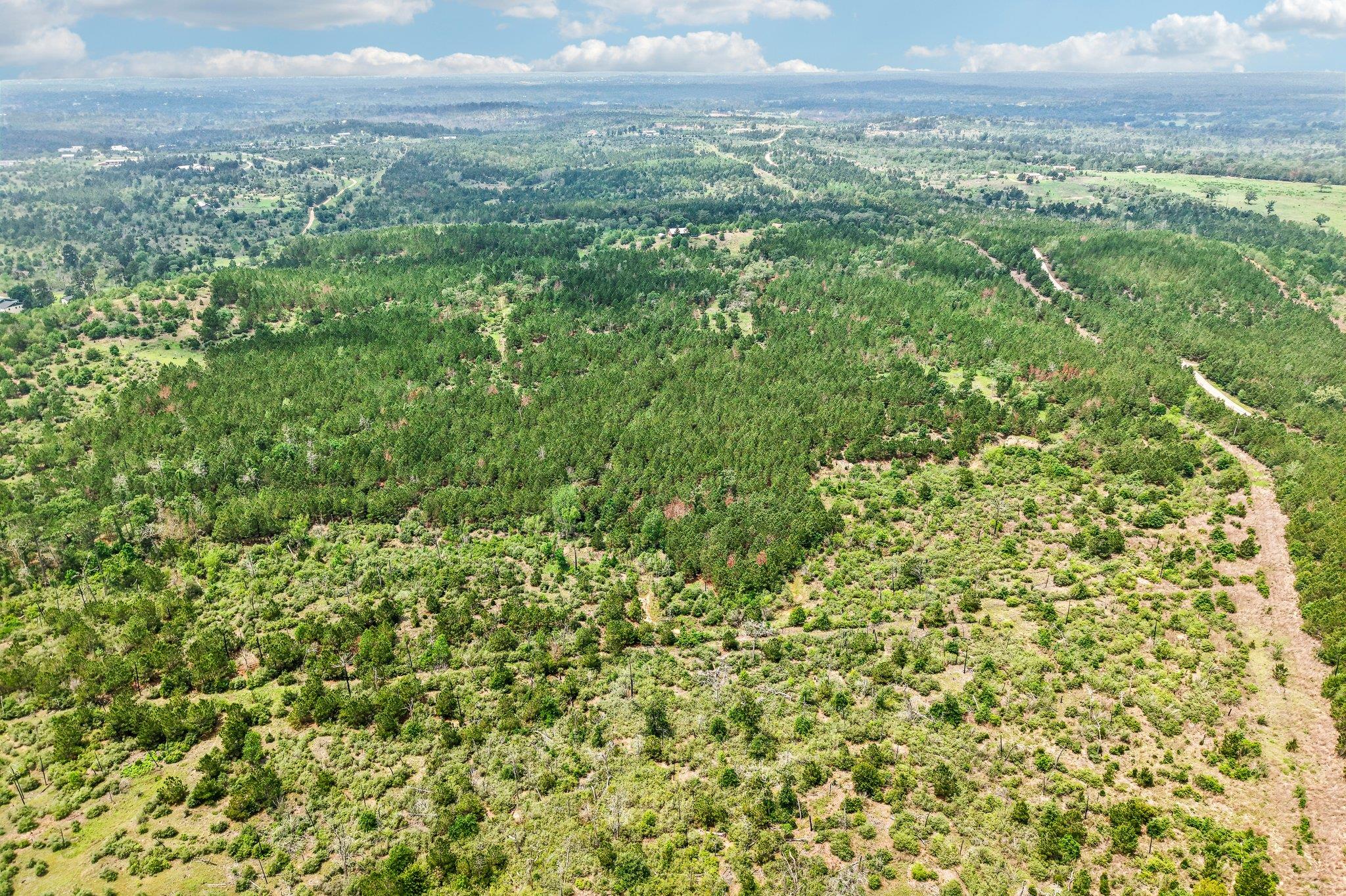 1213 Park Road 1C, Smithville, TX 78957