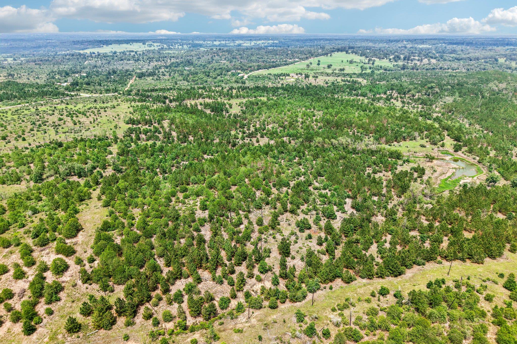 1213 Park Road 1C, Smithville, TX 78957