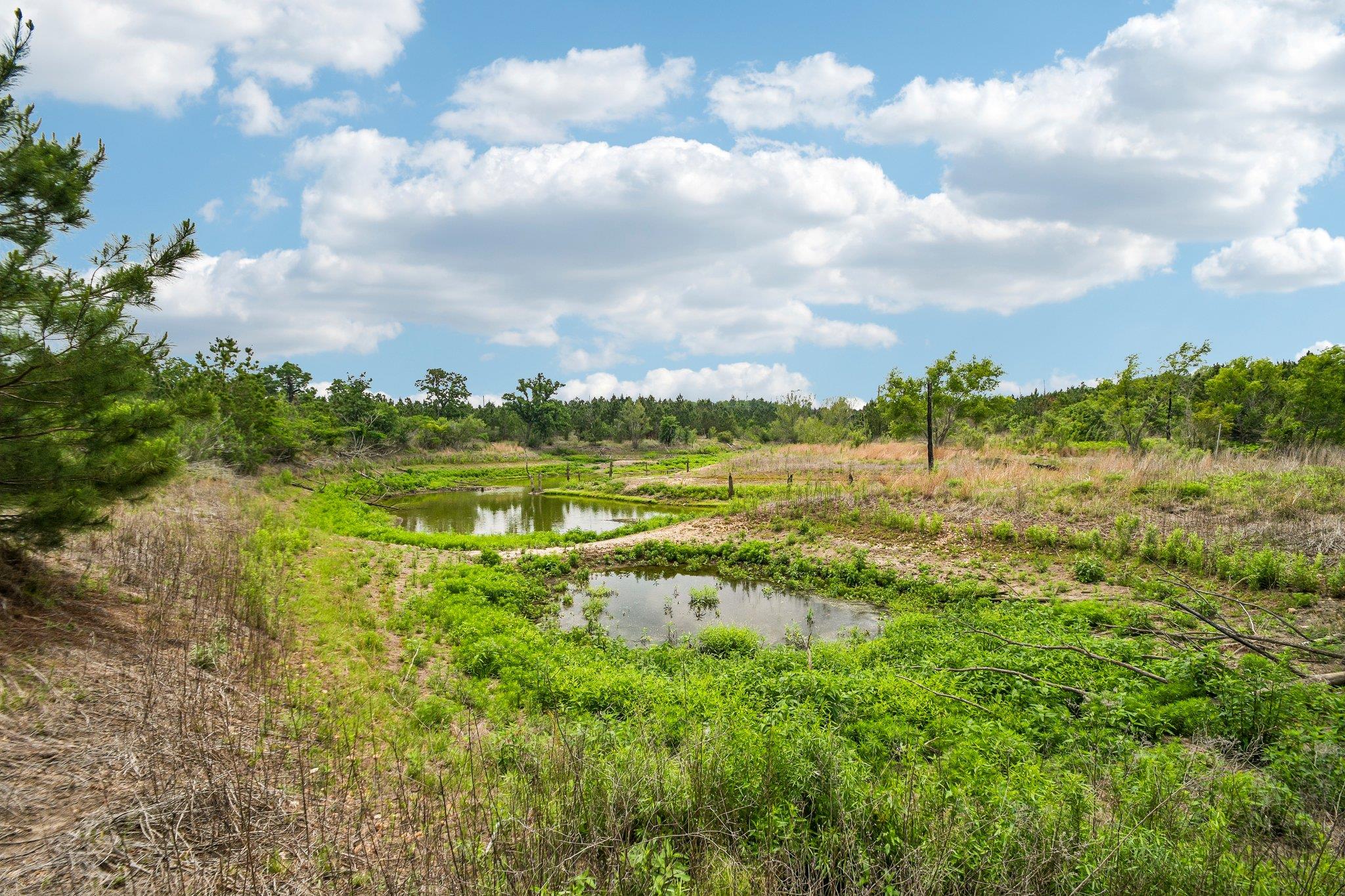 1213 Park Road 1C, Smithville, TX 78957