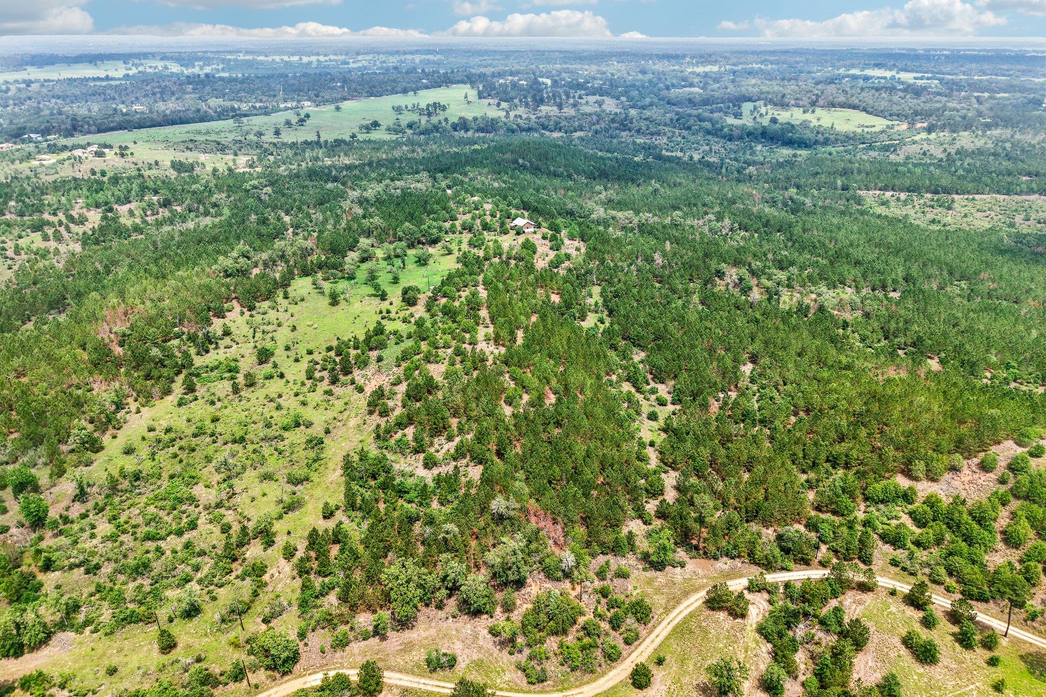 1213 Park Road 1C, Smithville, TX 78957