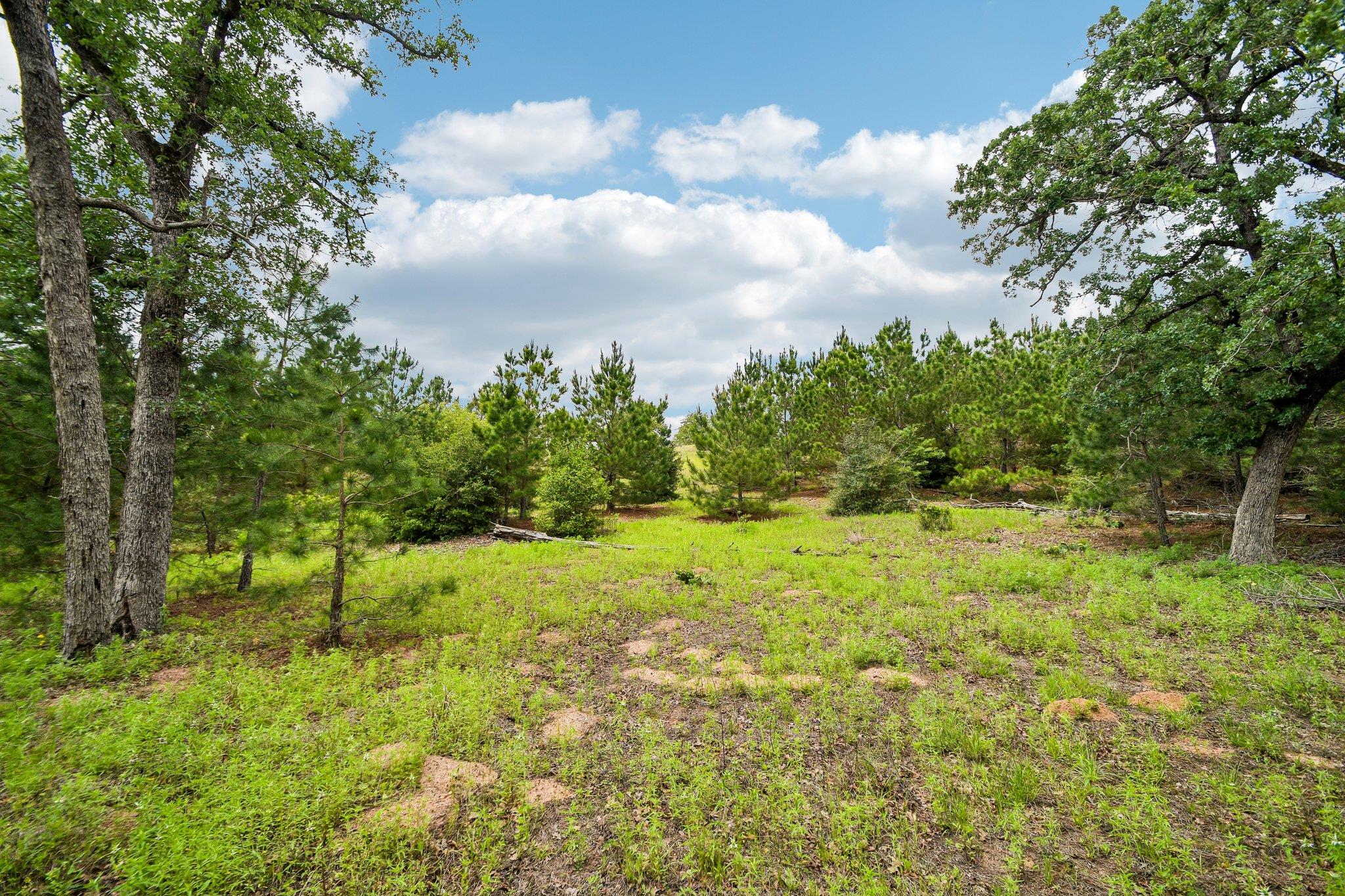 1213 Park Road 1C, Smithville, TX 78957