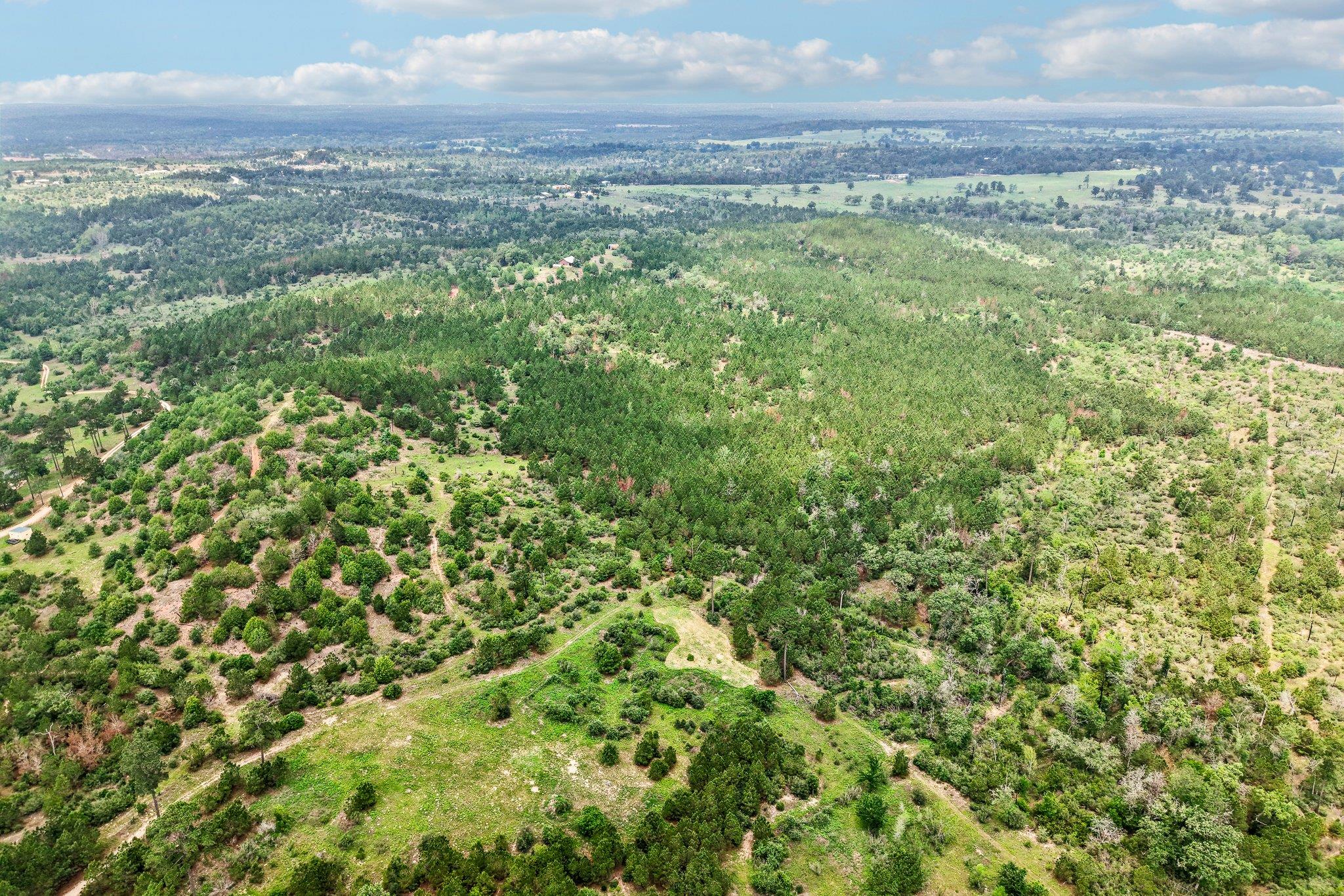 1213 Park Road 1C, Smithville, TX 78957