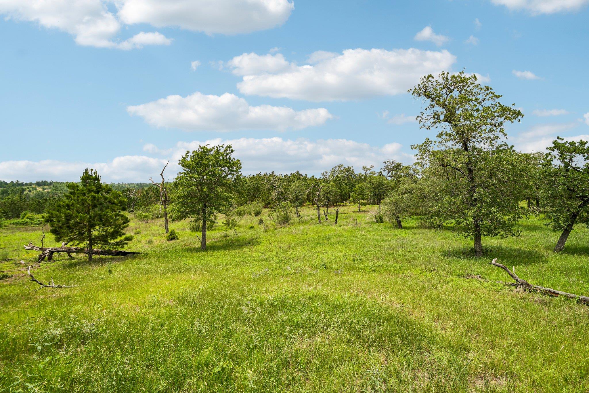 1213 Park Road 1C, Smithville, TX 78957