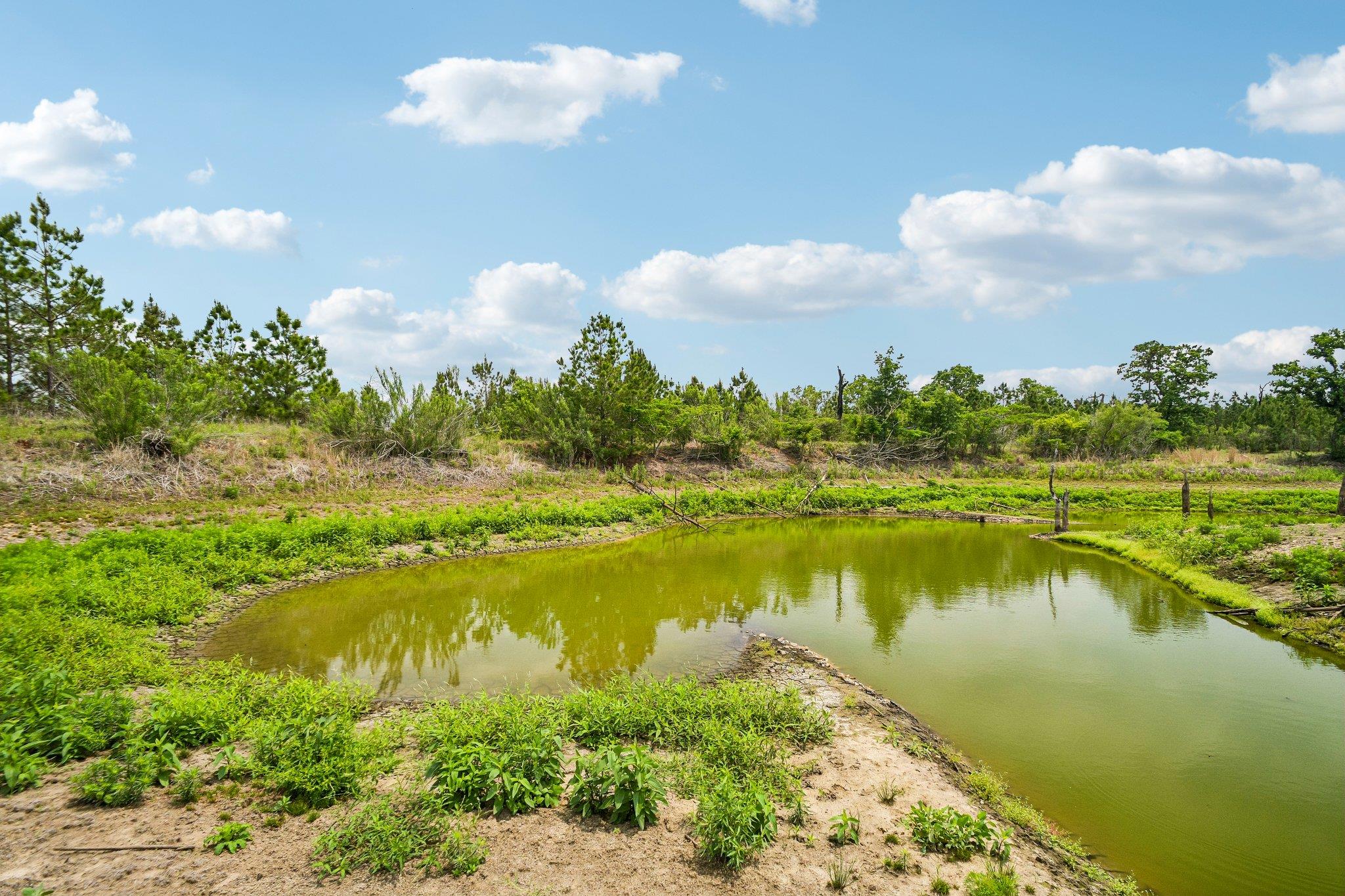 1213 Park Road 1C, Smithville, TX 78957