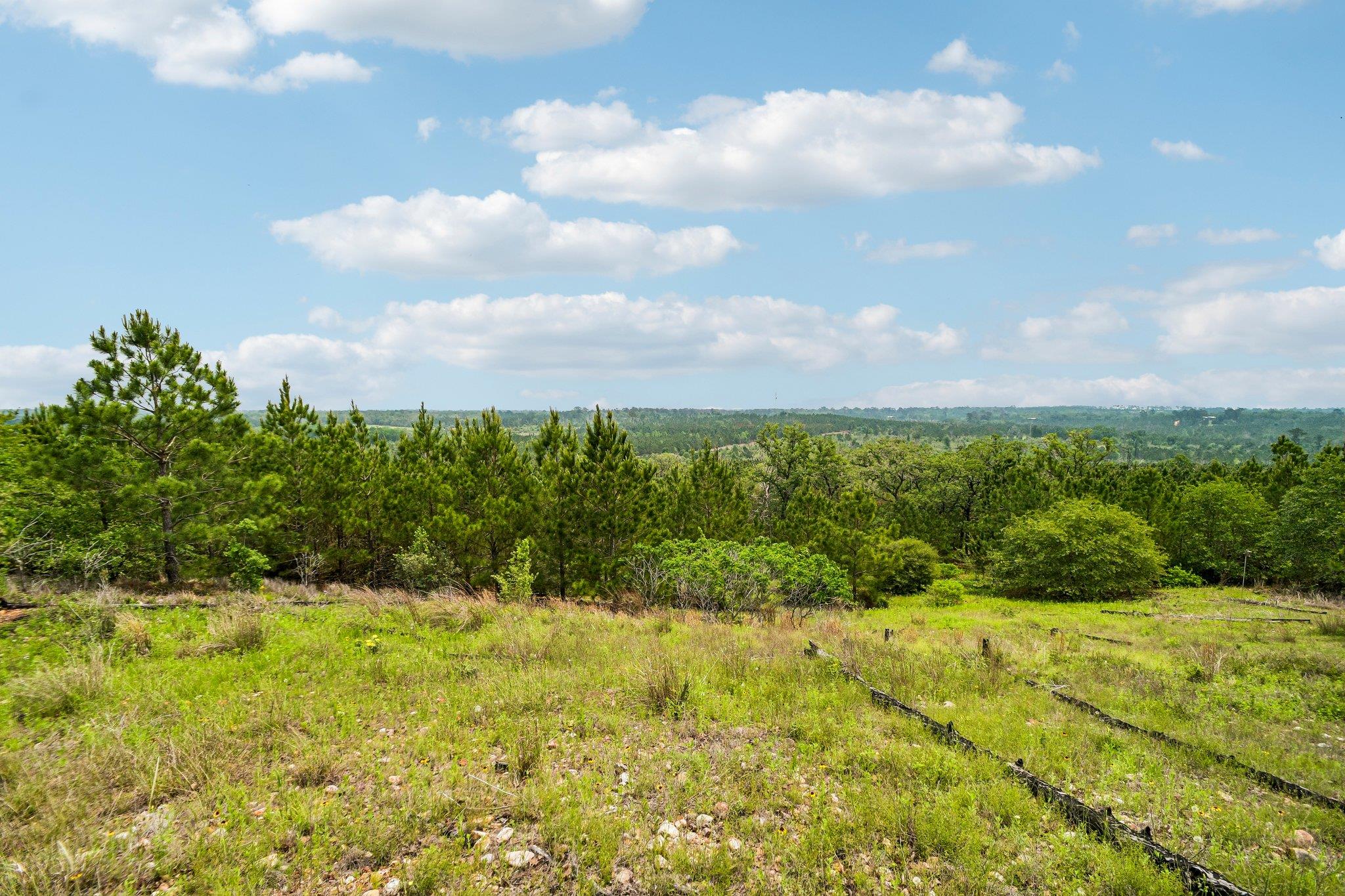 1213 Park Road 1C, Smithville, TX 78957