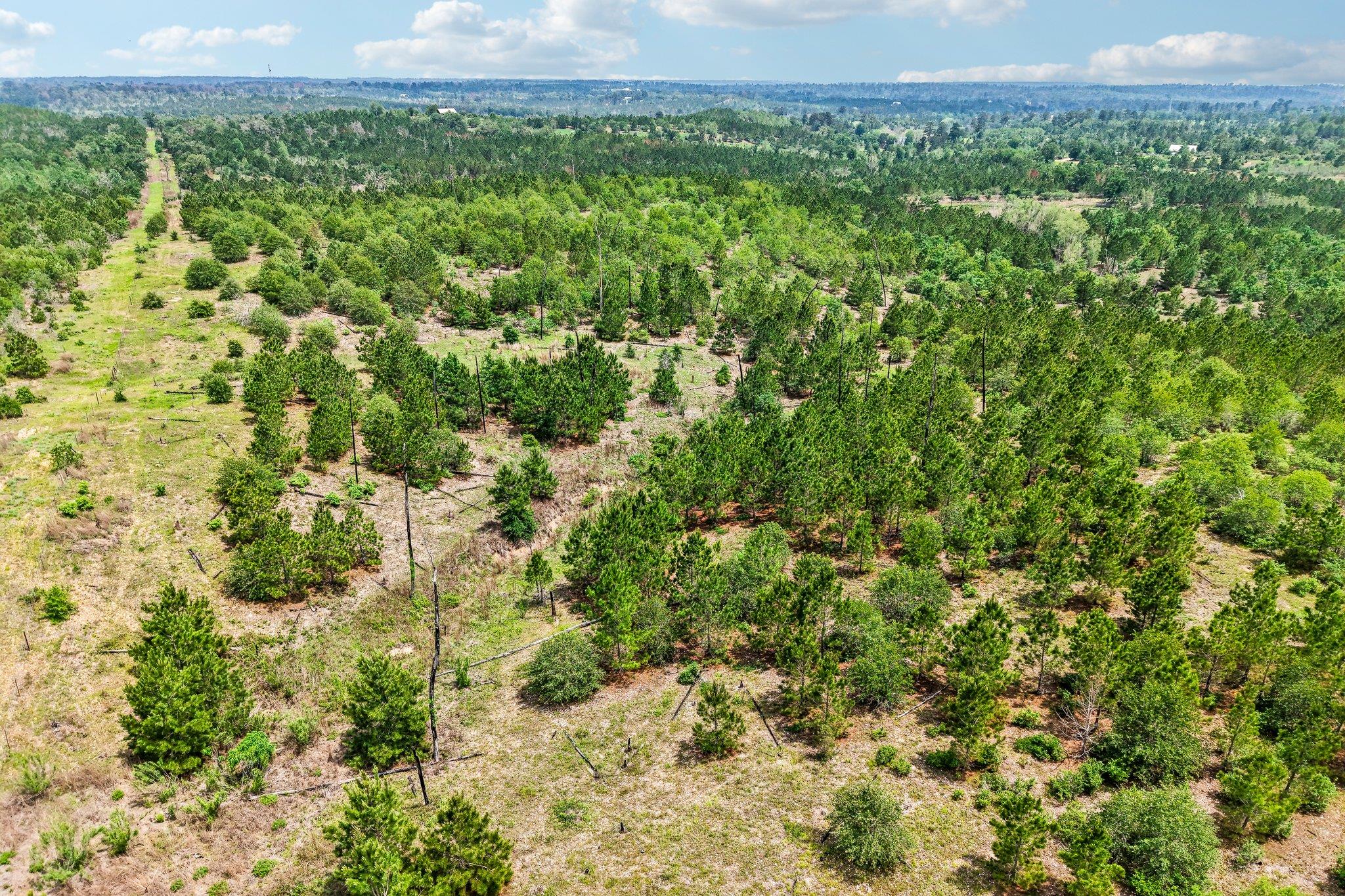 1213 Park Road 1C, Smithville, TX 78957