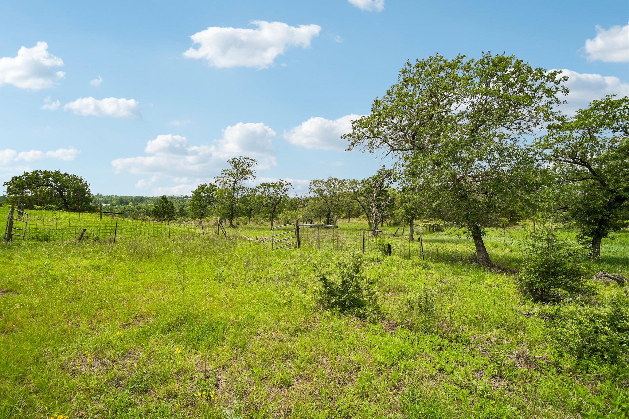 1213 Park Road 1C, Smithville, TX 78957