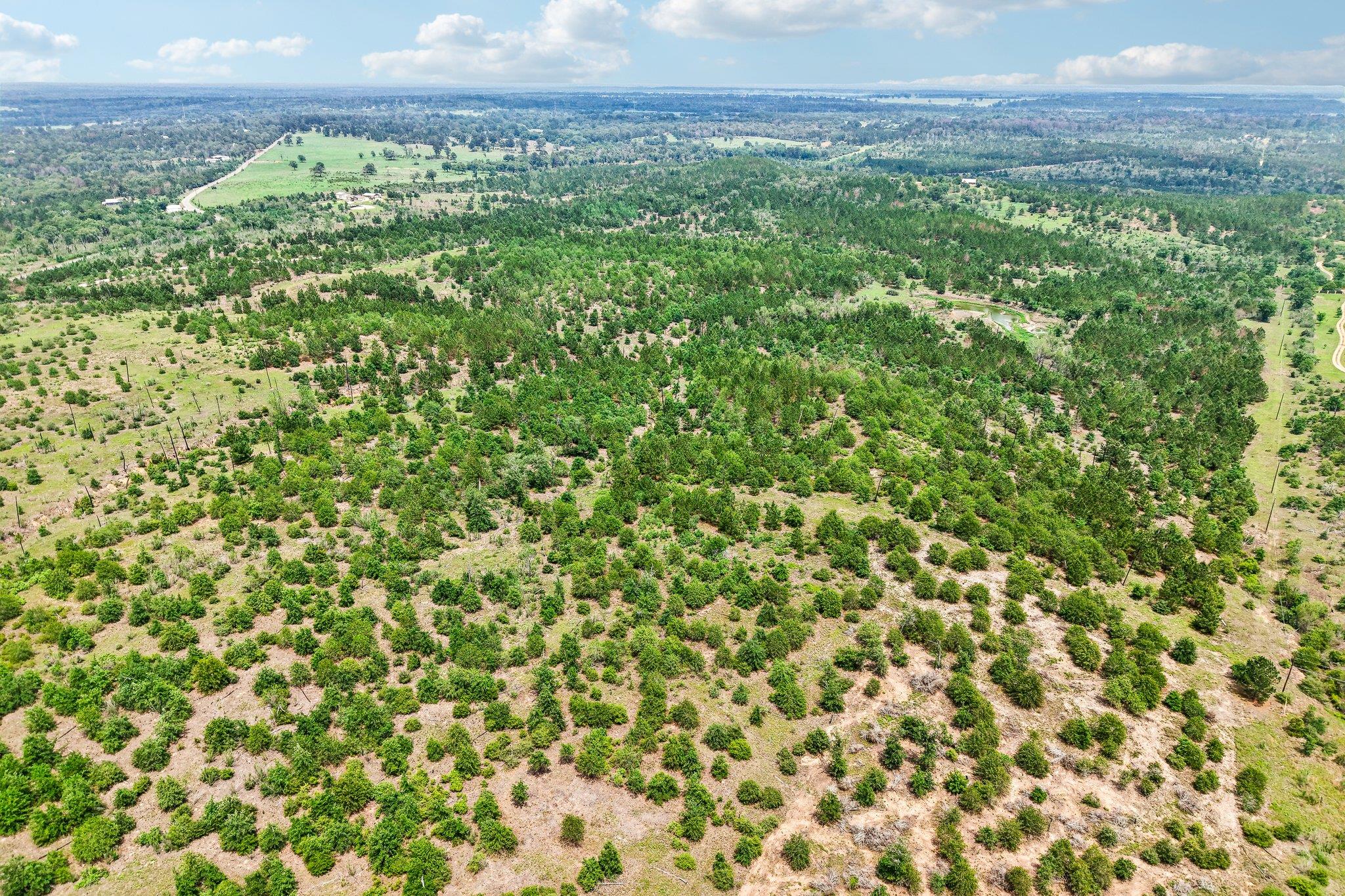 1213 Park Road 1C, Smithville, TX 78957