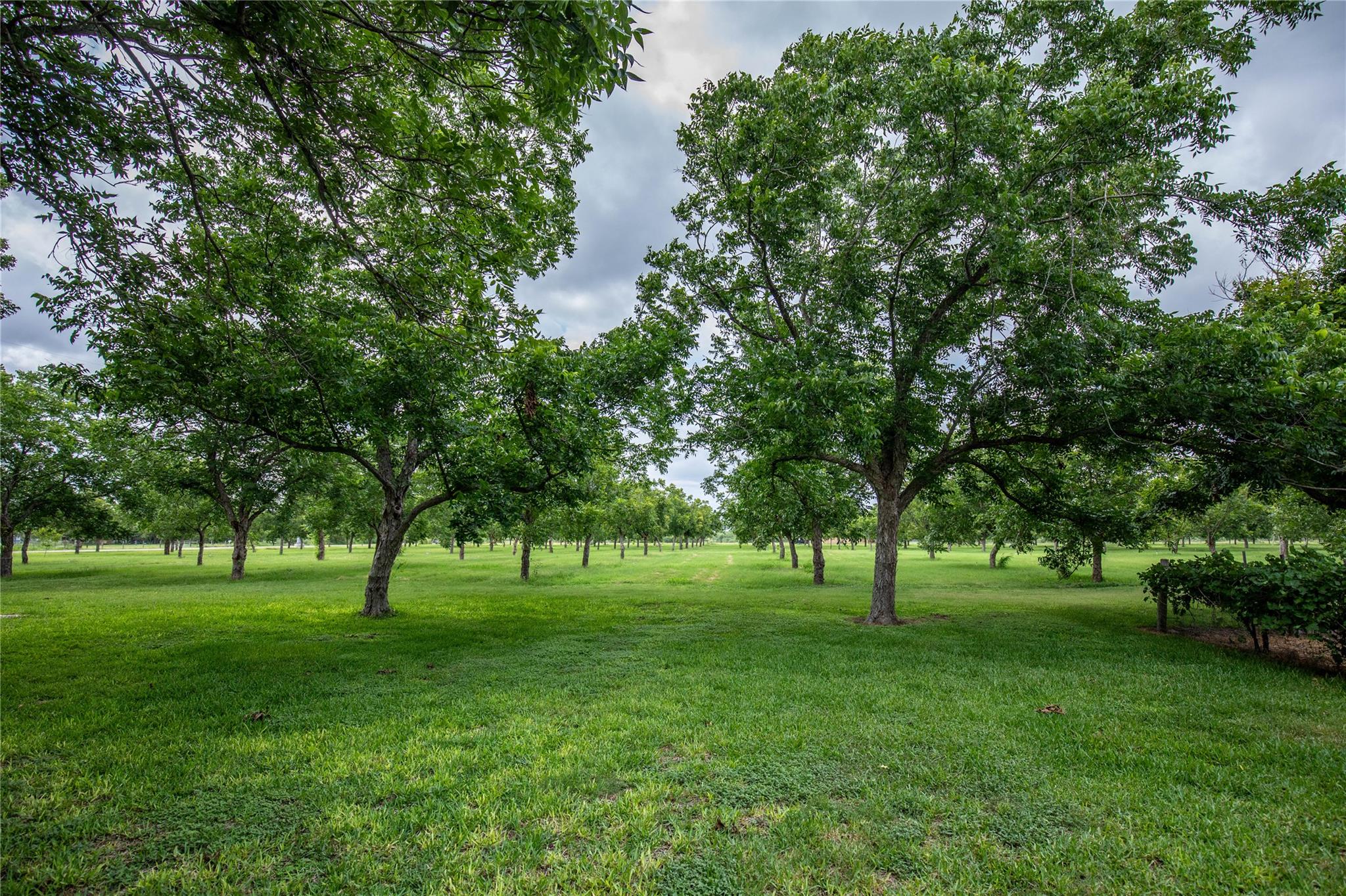 2432 County Road 402 B, Falfurrias, TX 78355