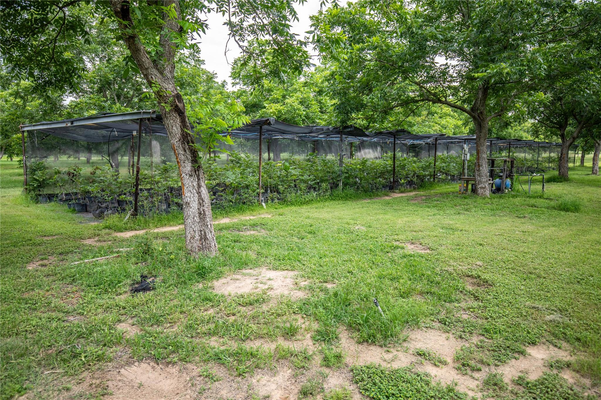 2432 County Road 402 B, Falfurrias, TX 78355