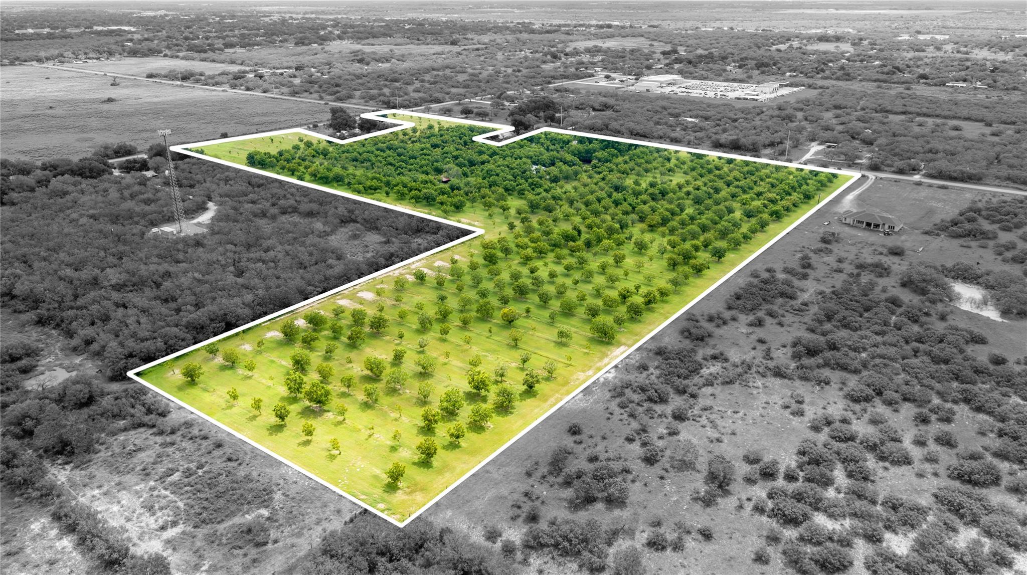 2432 County Road 402 B, Falfurrias, TX 78355