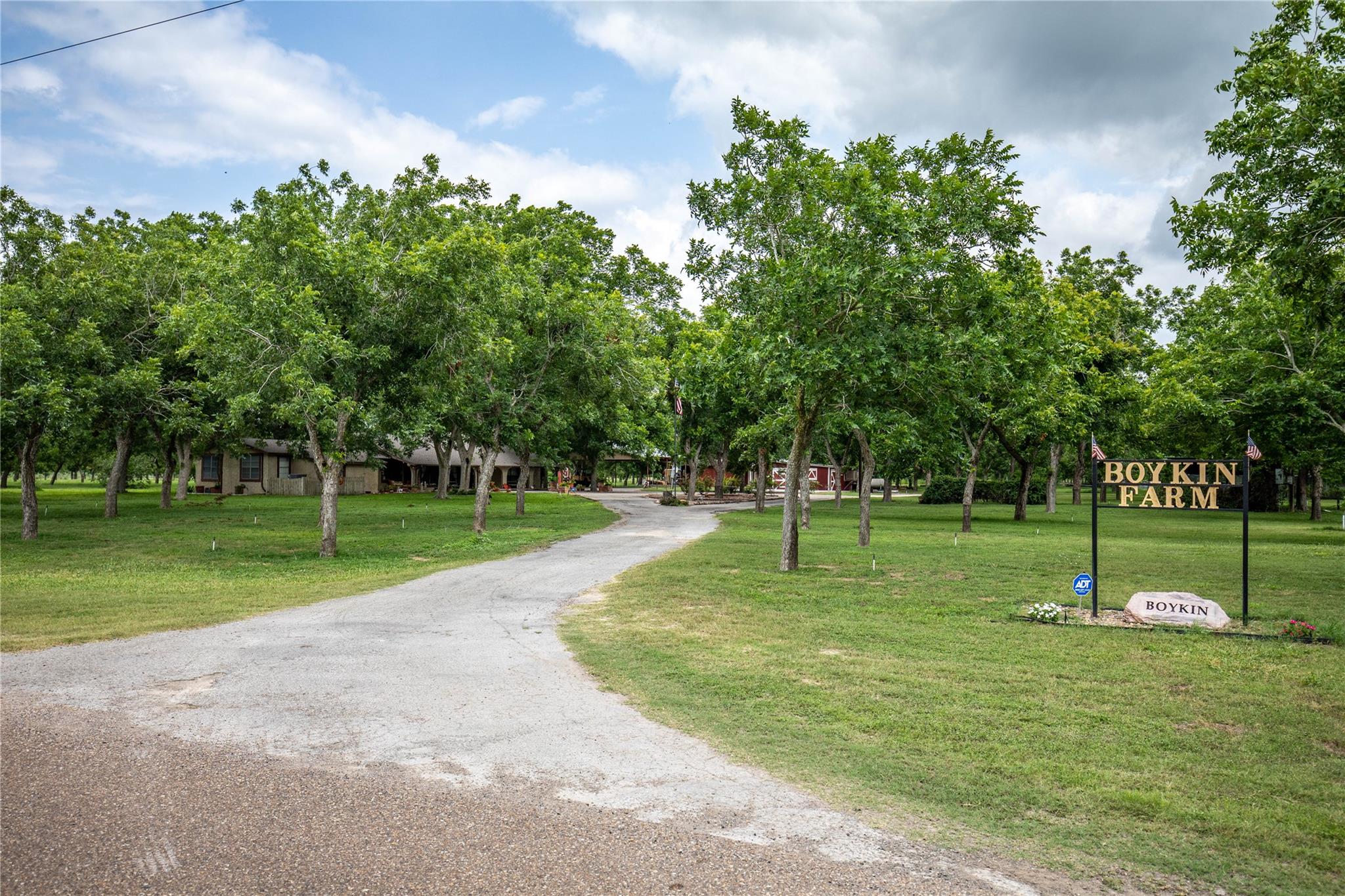 2432 County Road 402 B, Falfurrias, TX 78355