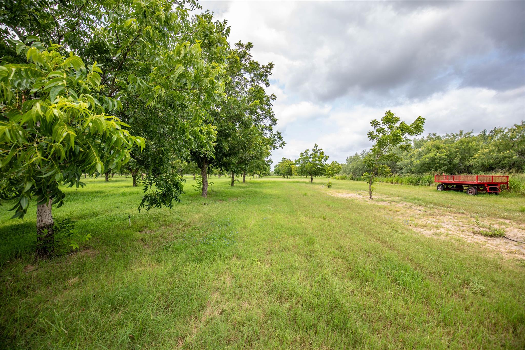 2432 County Road 402 B, Falfurrias, TX 78355