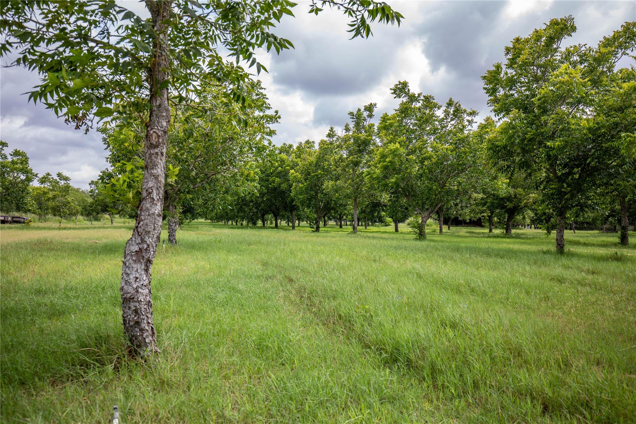 2432 County Road 402 B, Falfurrias, TX 78355