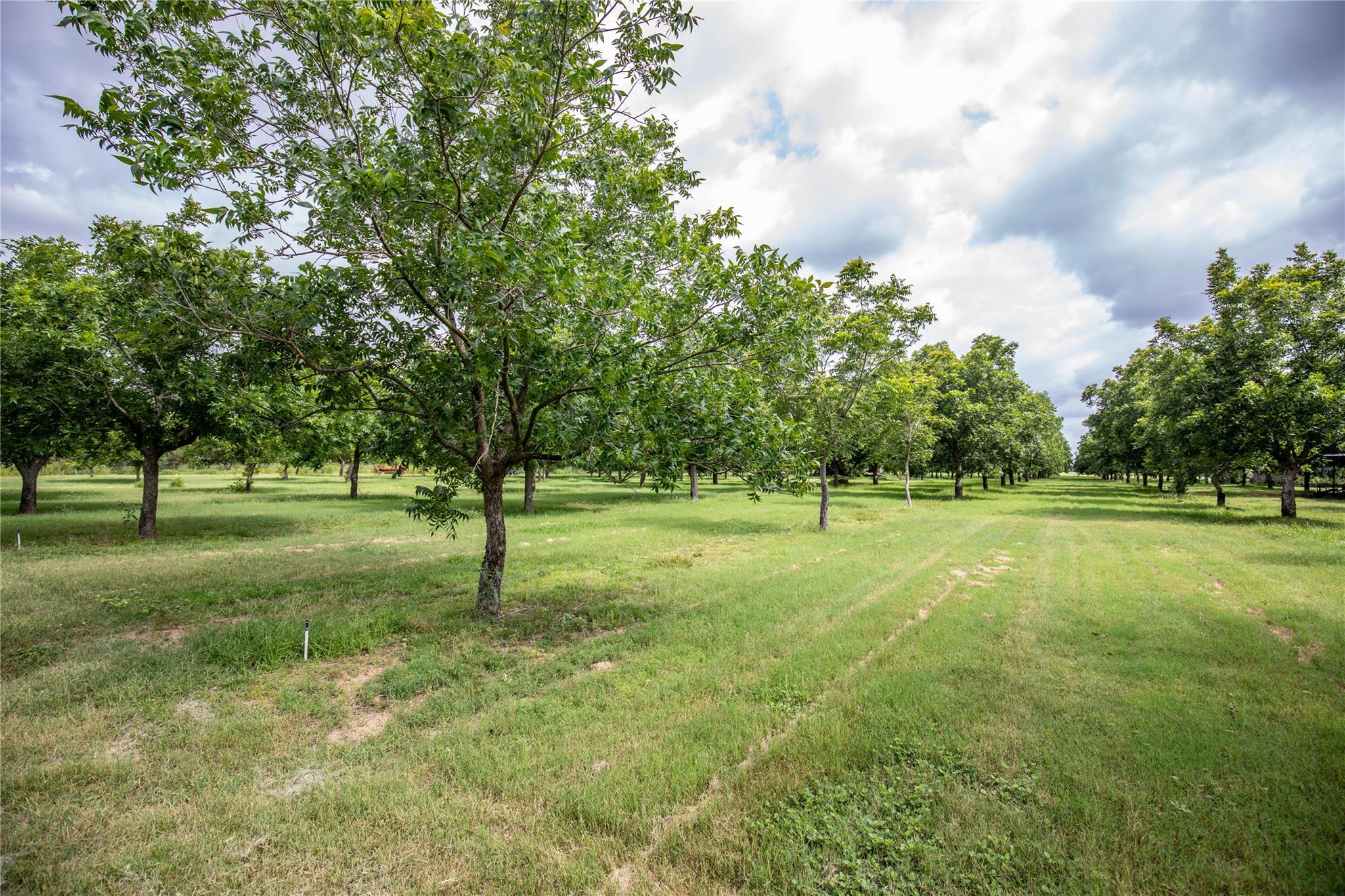 2432 County Road 402 B, Falfurrias, TX 78355