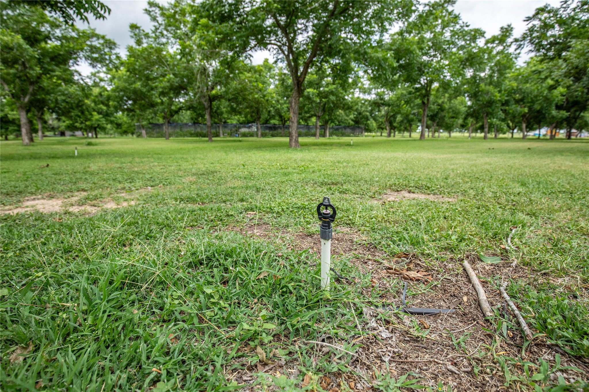 2432 County Road 402 B, Falfurrias, TX 78355