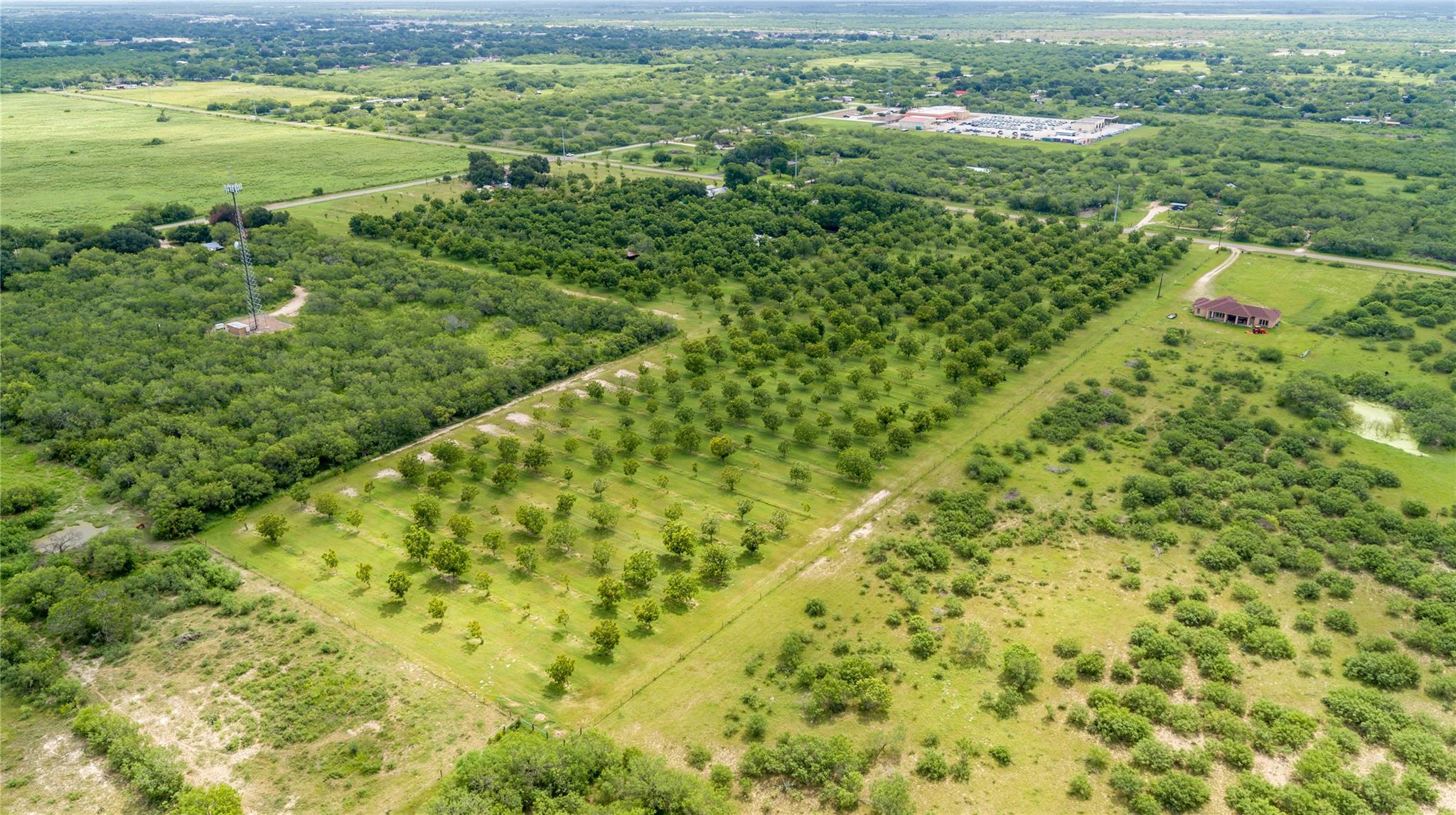 2432 County Road 402 B, Falfurrias, TX 78355