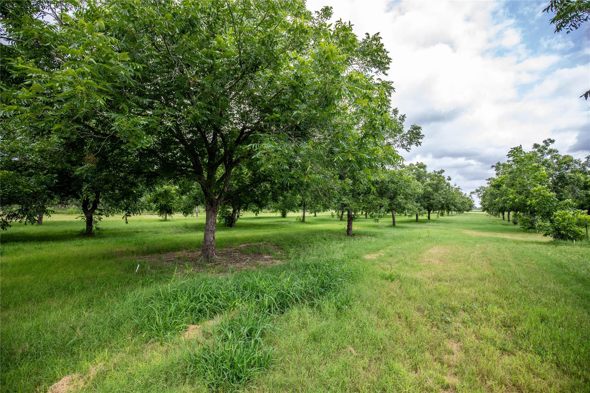 2432 County Road 402 B, Falfurrias, TX 78355