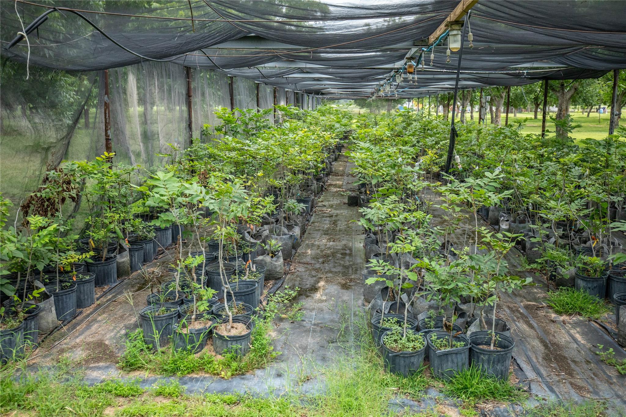 2432 County Road 402 B, Falfurrias, TX 78355