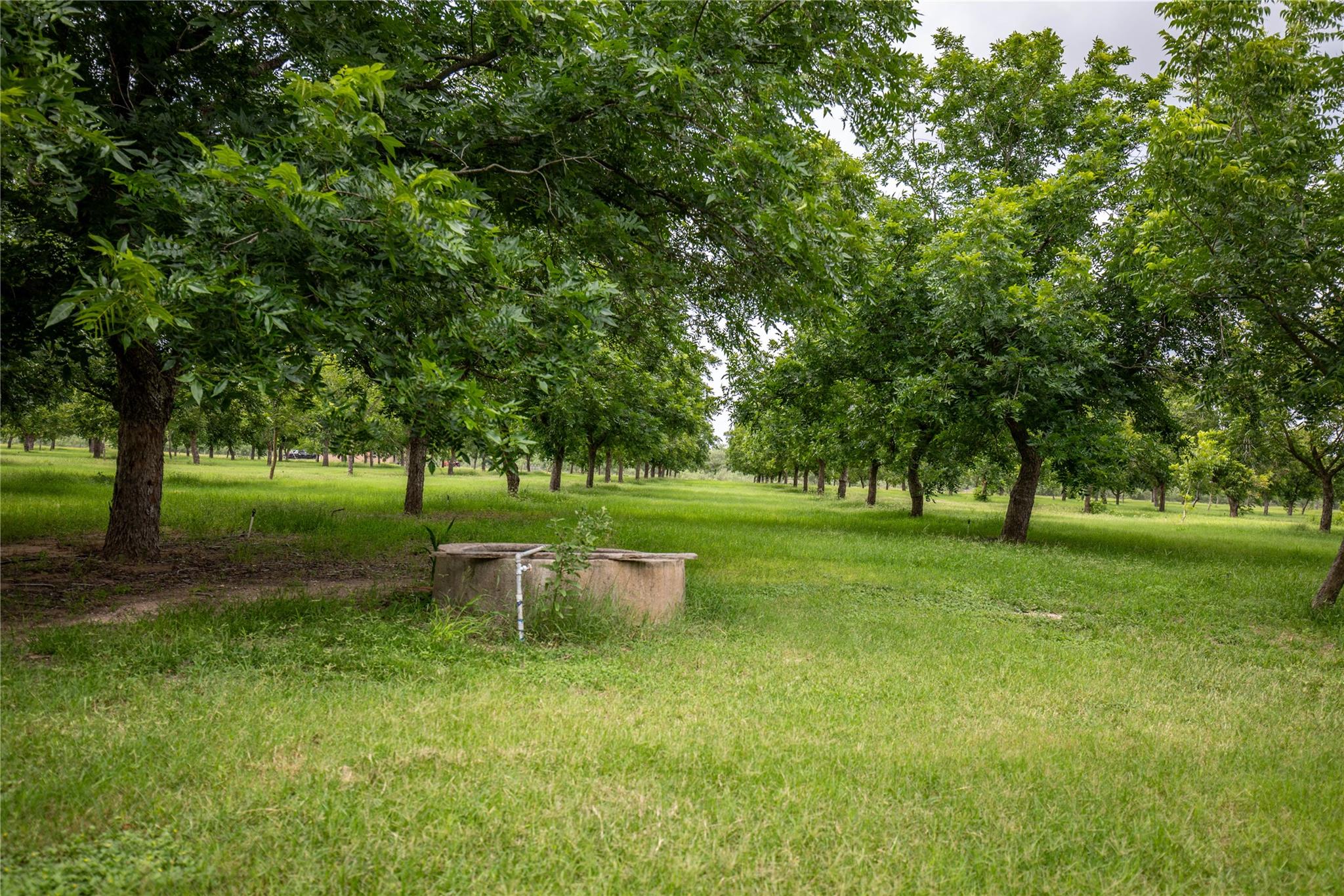 2432 County Road 402 B, Falfurrias, TX 78355