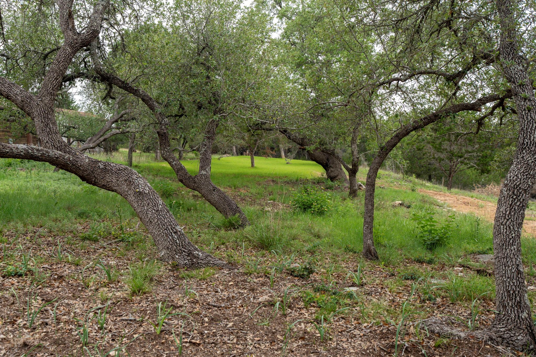 112 Twin Creek Cir, Dripping Springs, TX 78620