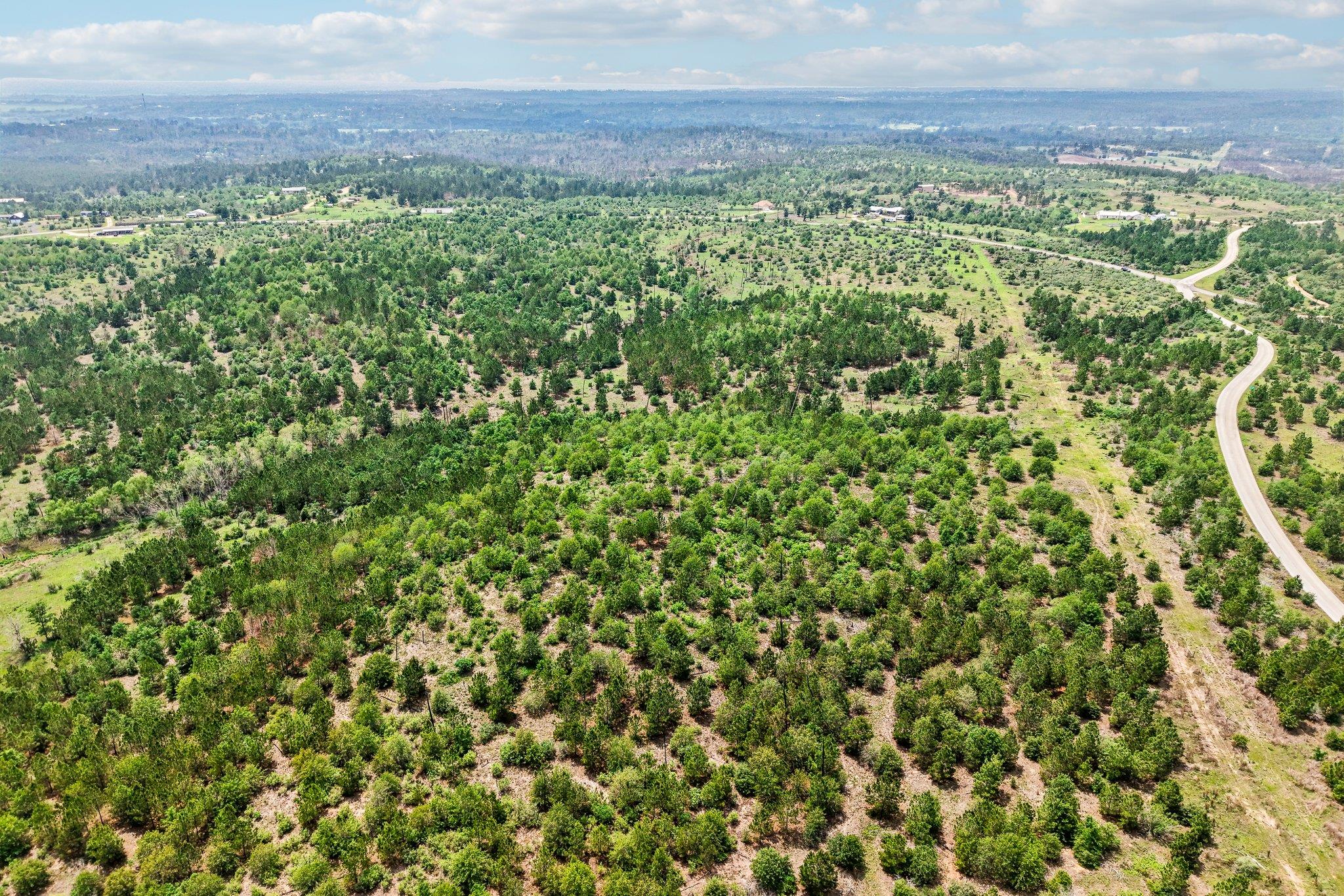 Tract 1 Cottle Town Rd, Smithville, TX 78957