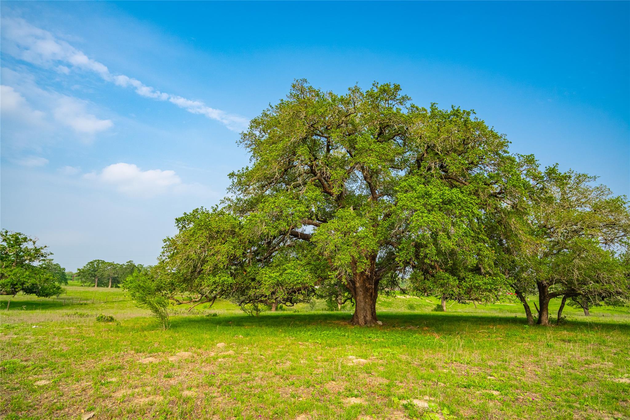 0 County Road 396, Gonzales, TX 78629