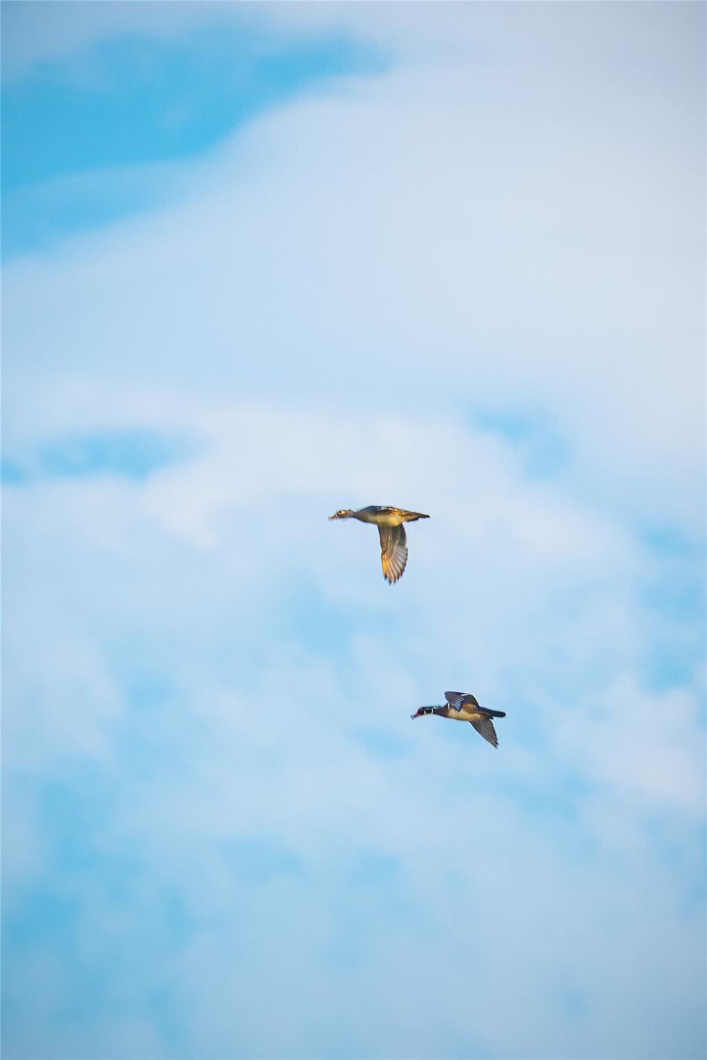 0 County Road 396, Gonzales, TX 78629