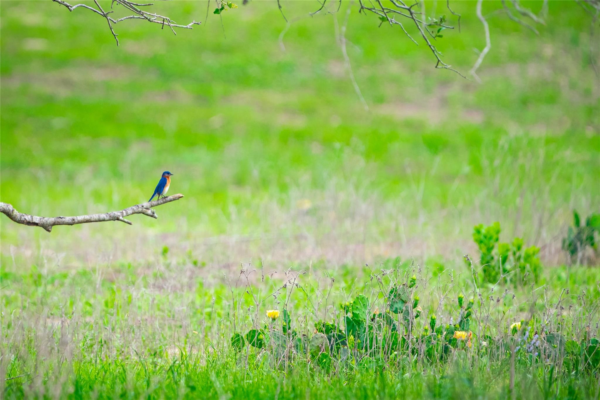 0 County Road 396, Gonzales, TX 78629