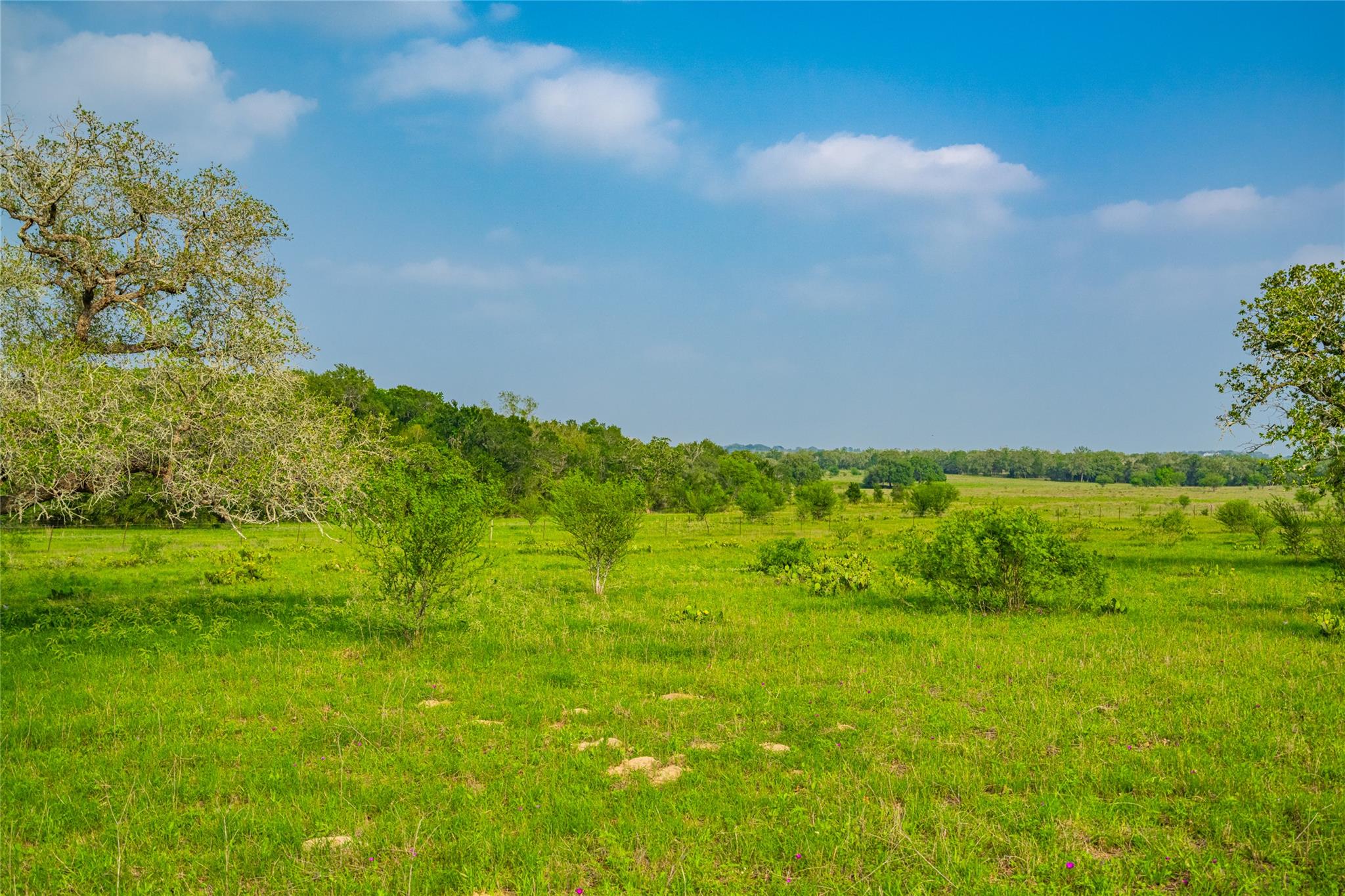 0 County Road 396, Gonzales, TX 78629