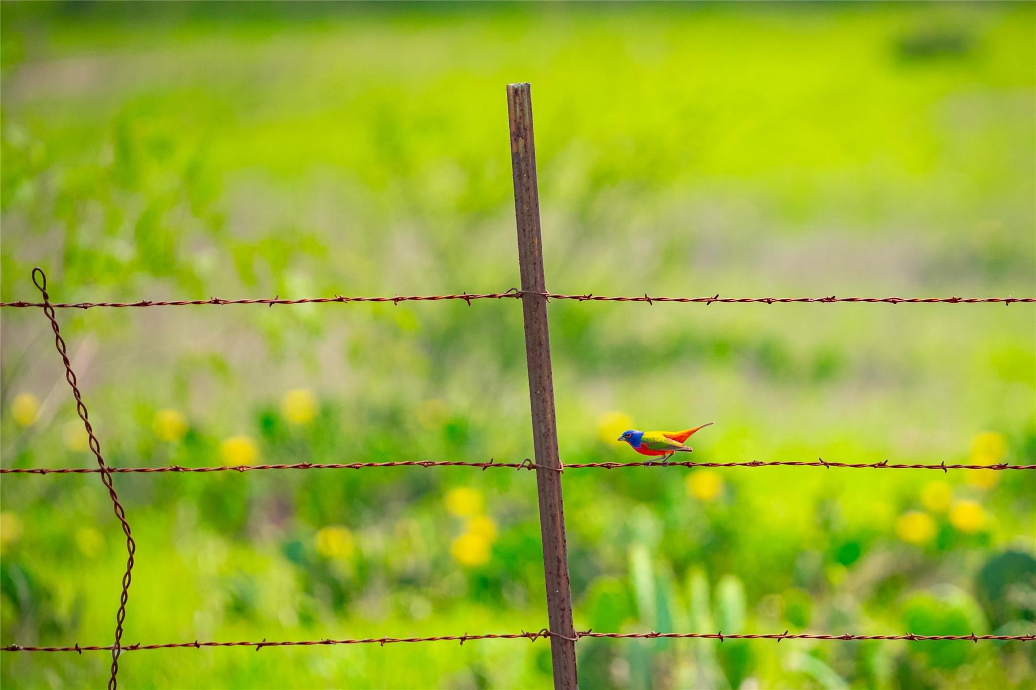 0 County Road 396, Gonzales, TX 78629