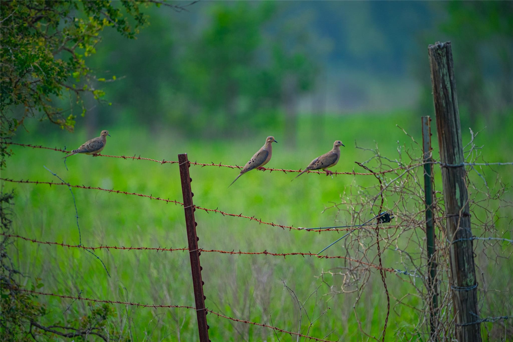 0 County Road 396, Gonzales, TX 78629