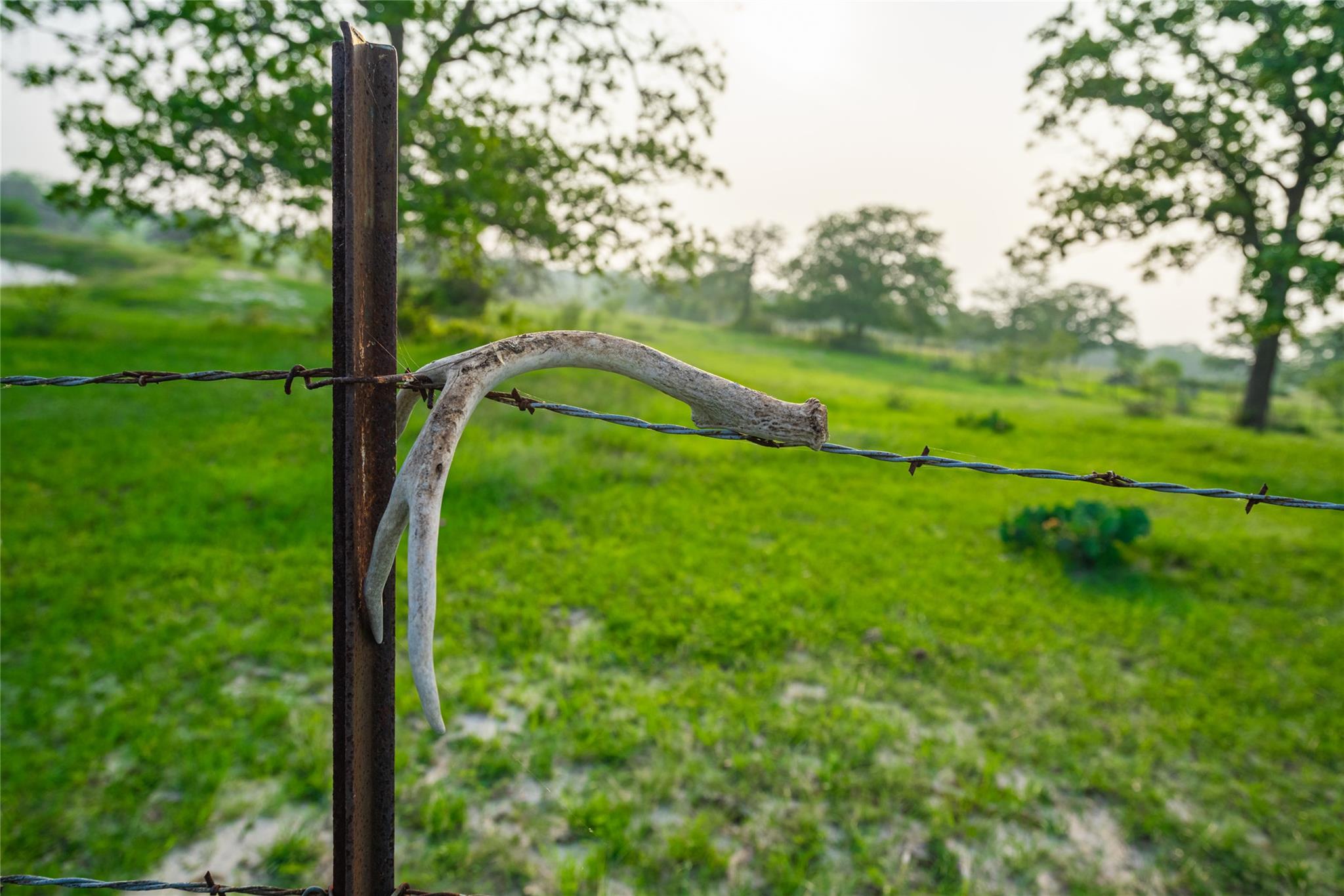 0 County Road 396, Gonzales, TX 78629