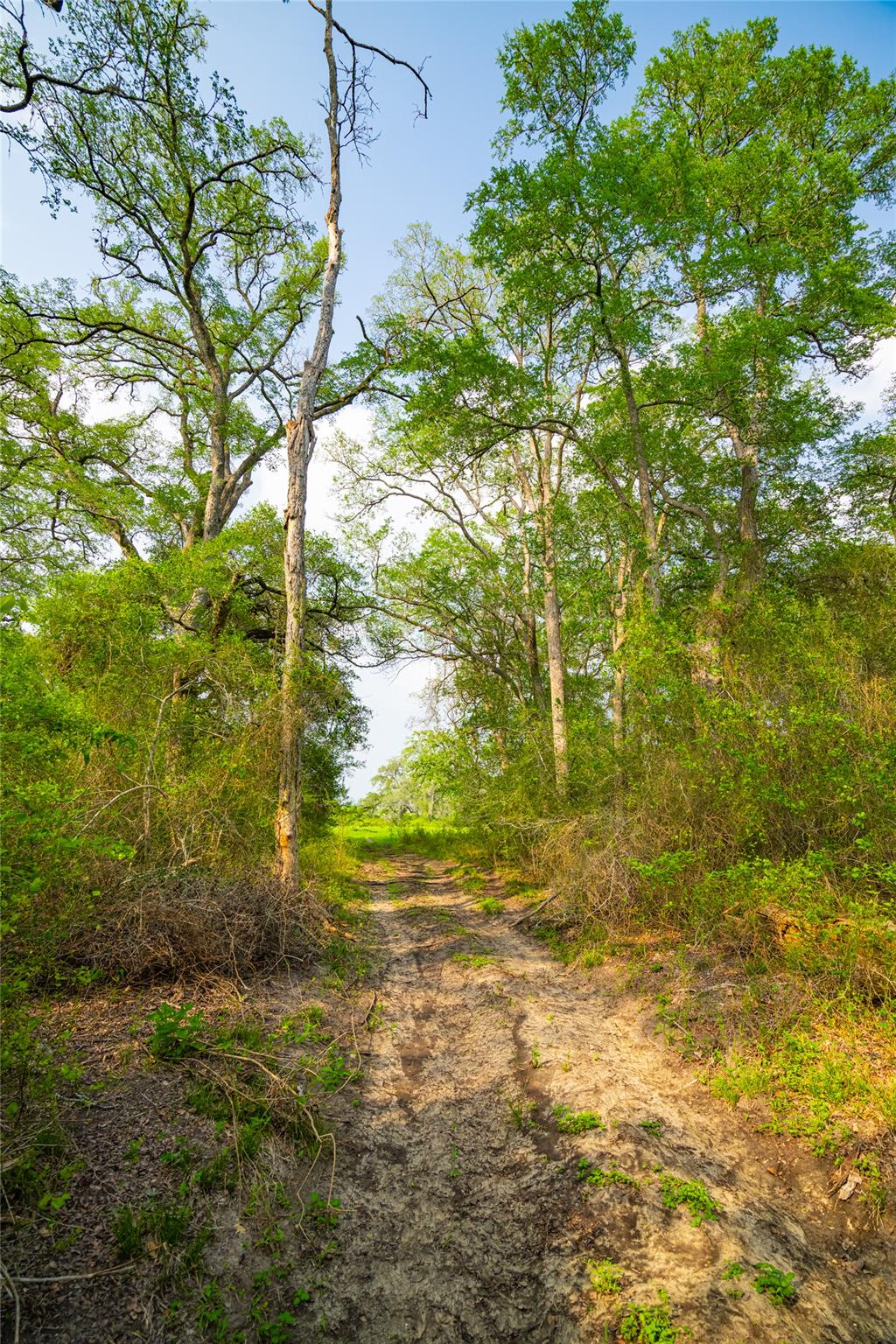 0 County Road 396, Gonzales, TX 78629