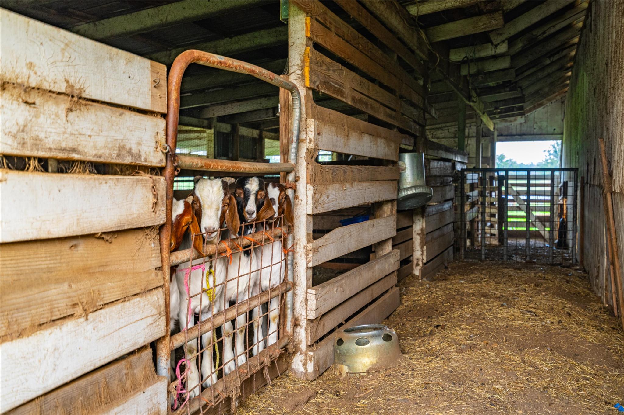 0 County Road 396, Gonzales, TX 78629