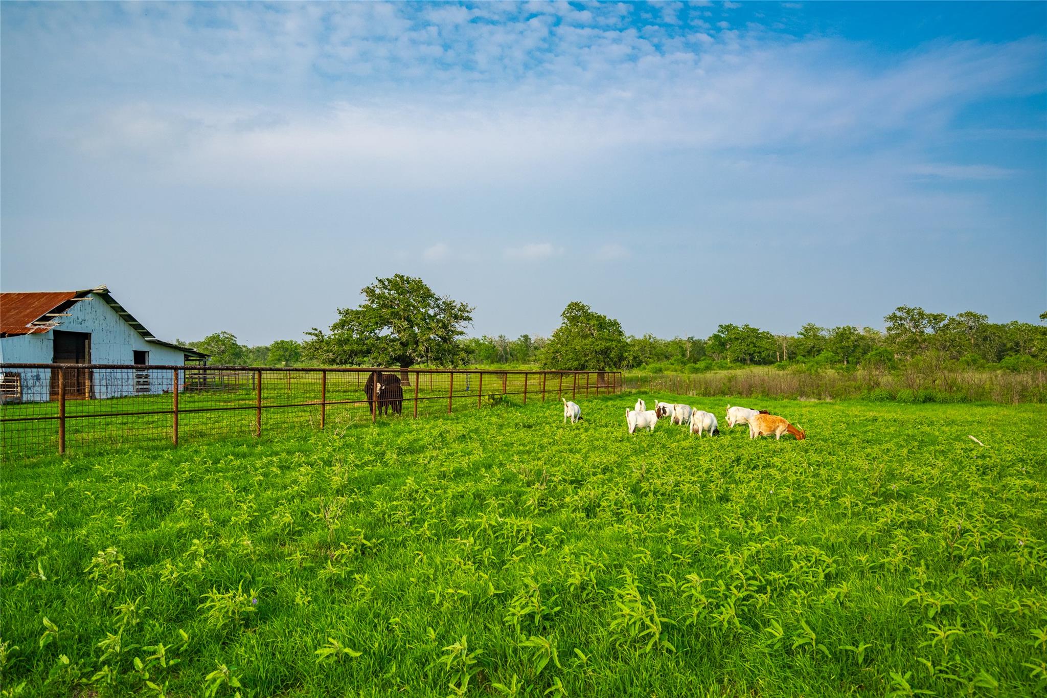 0 County Road 396, Gonzales, TX 78629