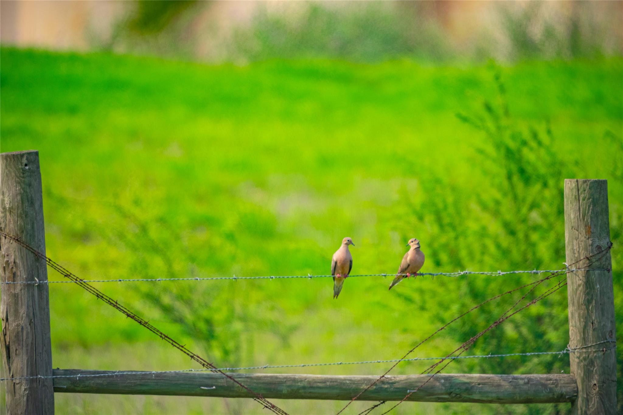 0 County Road 396, Gonzales, TX 78629