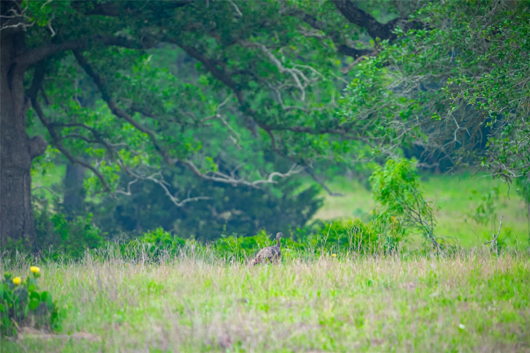 0 County Road 396, Gonzales, TX 78629