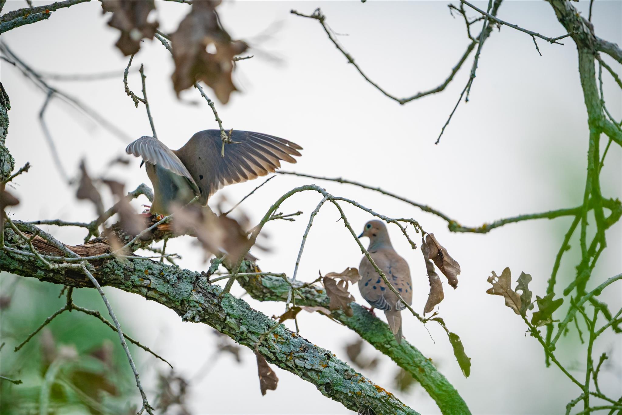 0 County Road 396, Gonzales, TX 78629