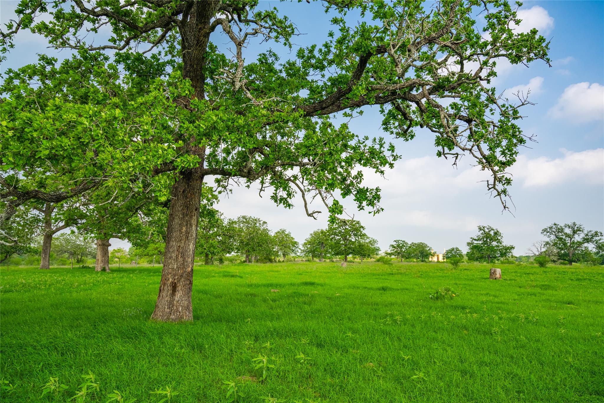 0 County Road 396, Gonzales, TX 78629