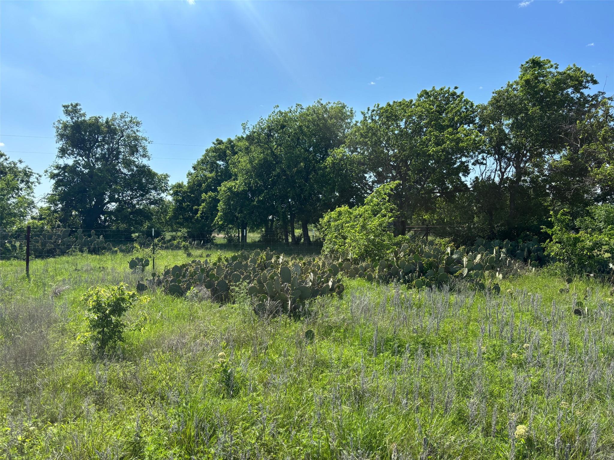 Lot 5 Titus Ln, Bertram, TX 78605