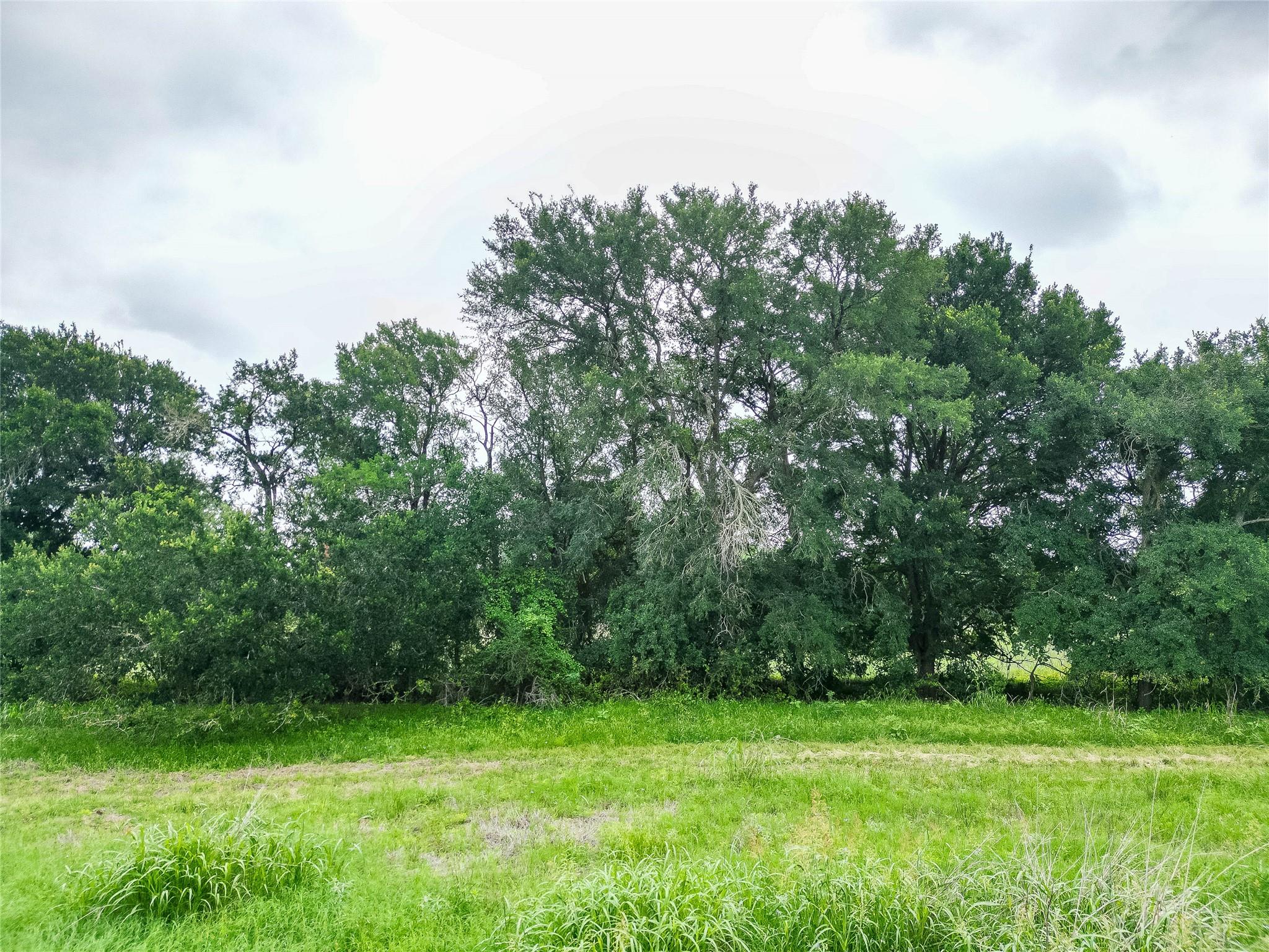 TBD FM 1854 Highway, Dale, TX 78616