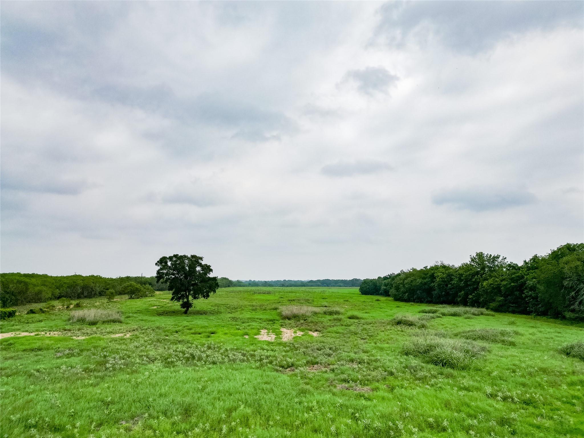 TBD FM 1854 Highway, Dale, TX 78616