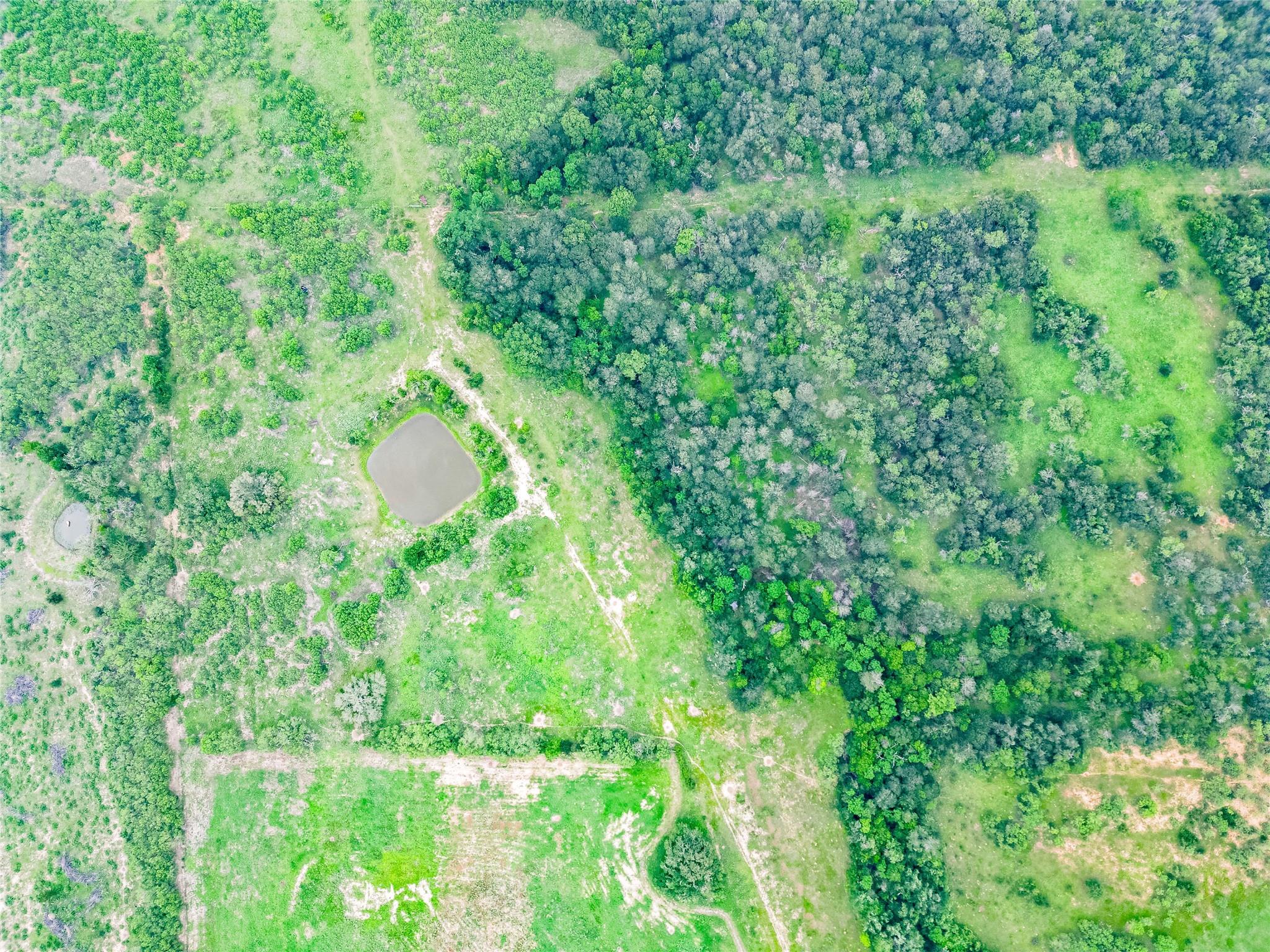 TBD FM 1854 Highway, Dale, TX 78616